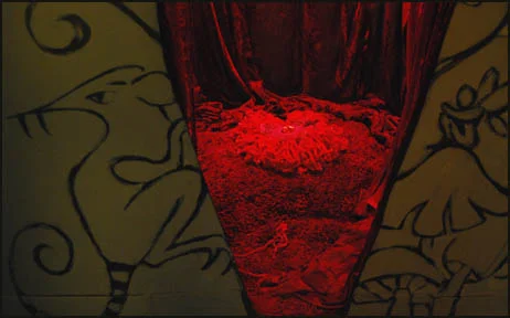 thisbackroomdetail2.jpg