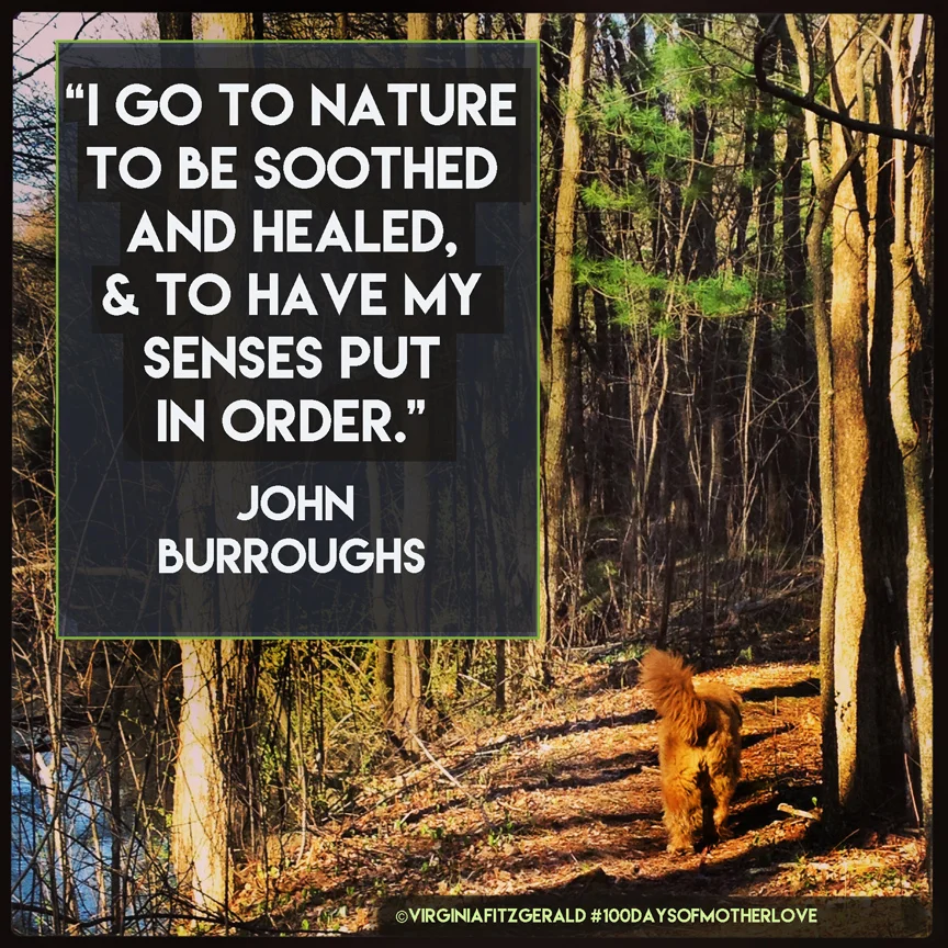 day35_go to nature.jpg