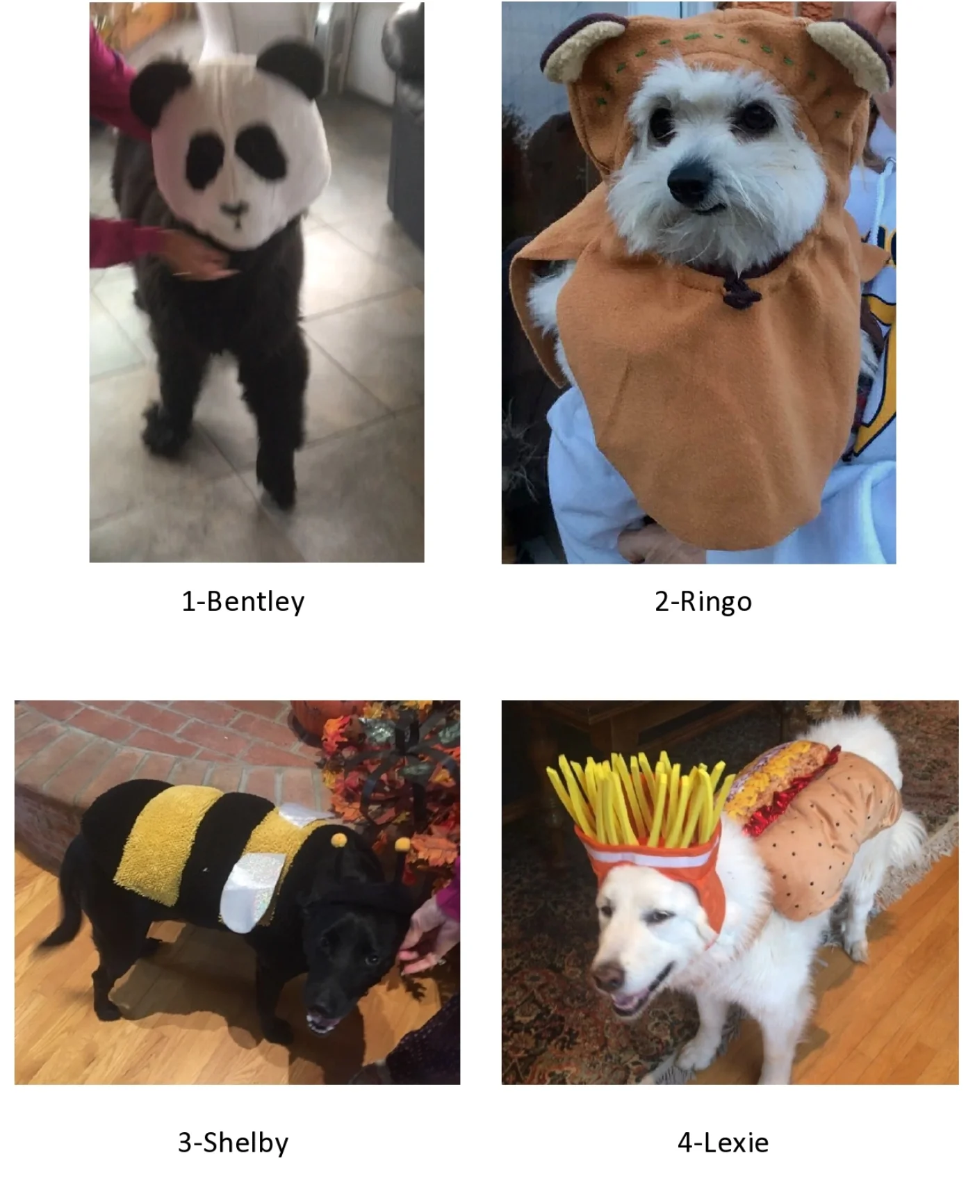 entry1.jpg