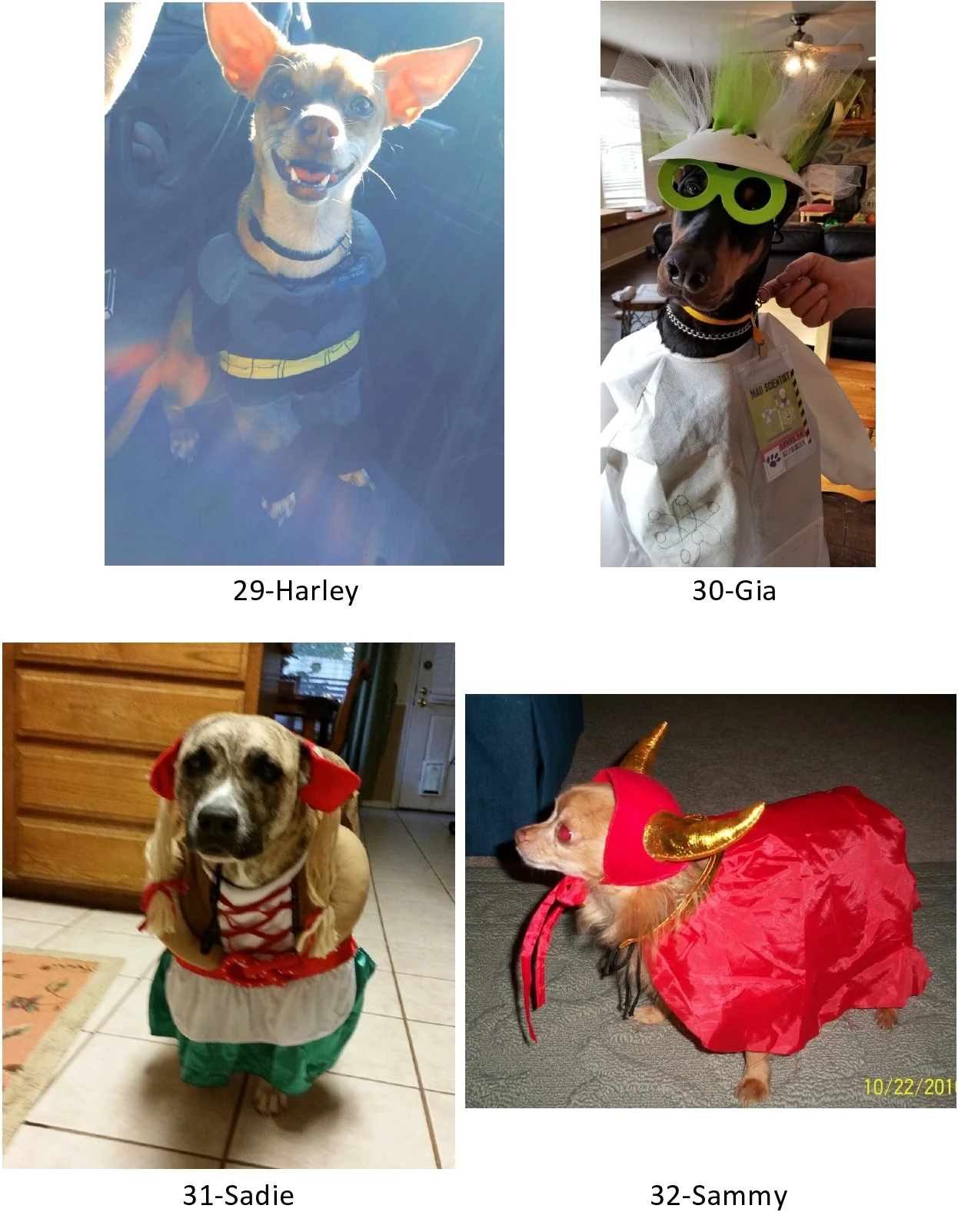 entry8.jpg
