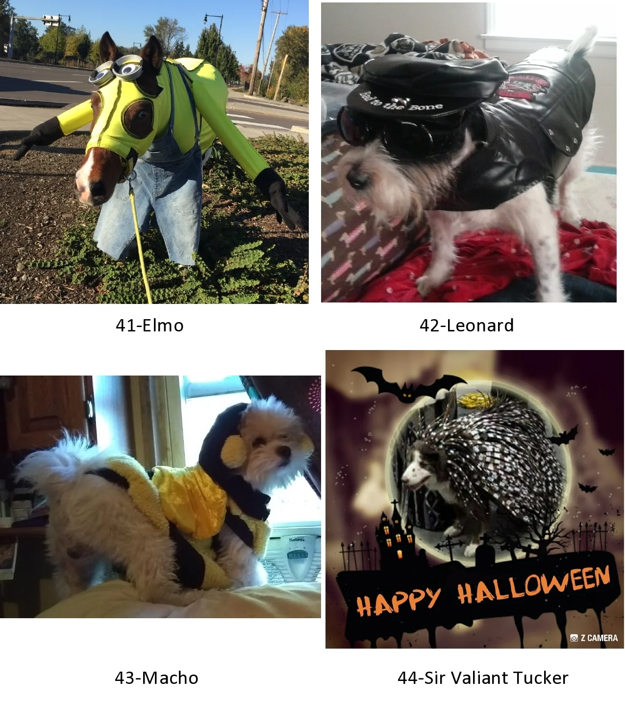 entry11.jpg