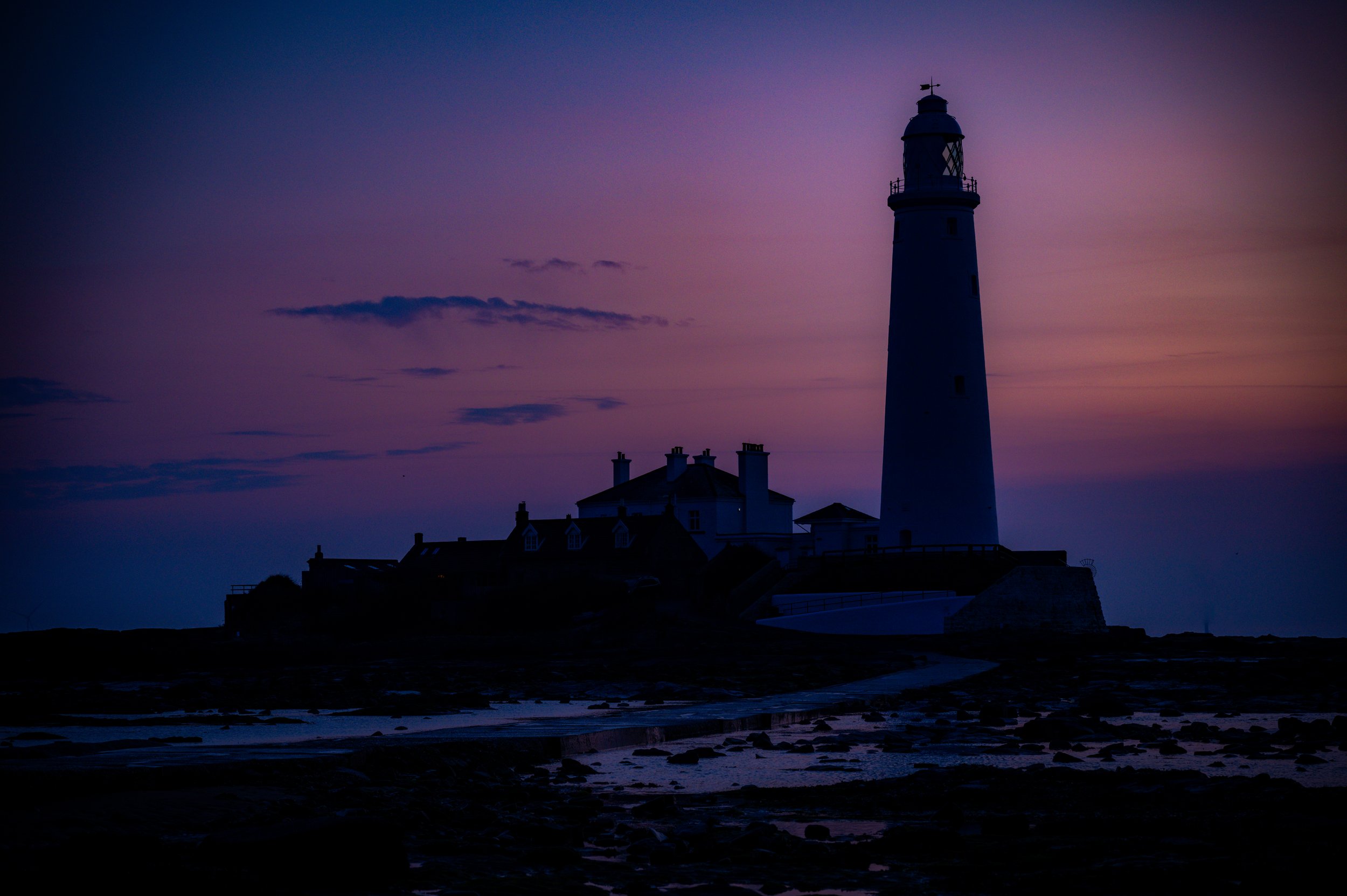 _DSC8353.jpg