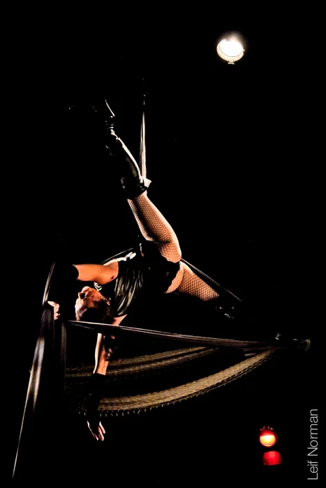 The Dominatrix