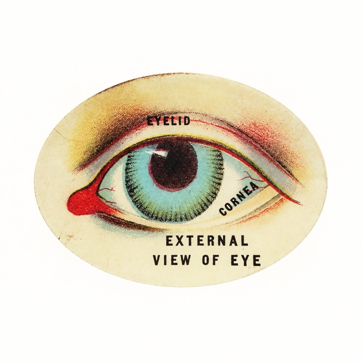 THE ARCHIVE / 003

A study in perspective. 
Understanding how we see has shaped what we do for generations. 

Since 1916.