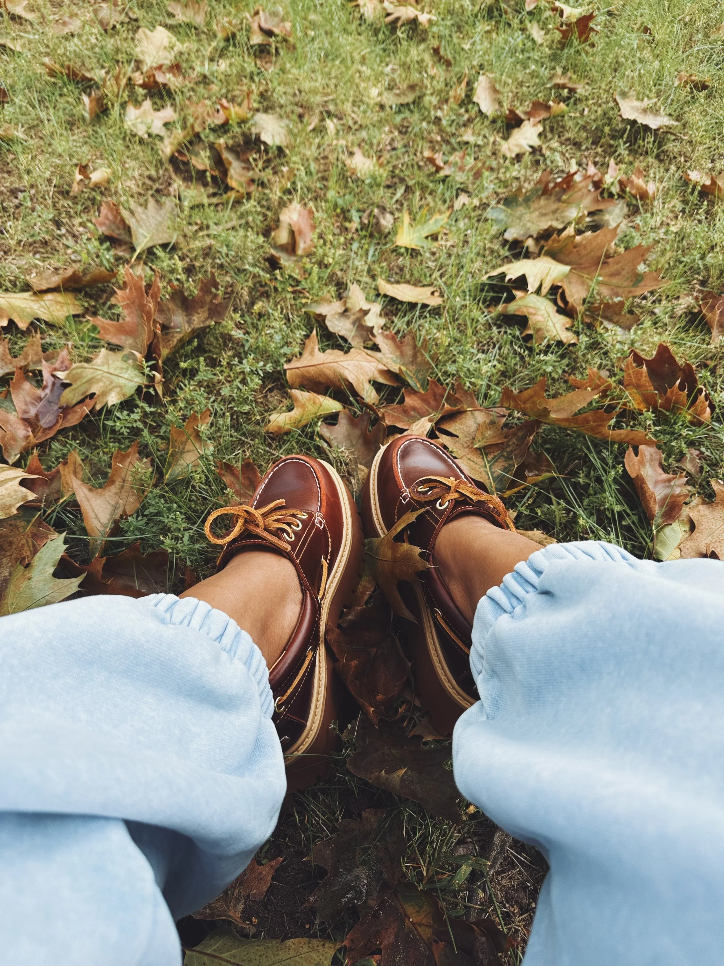 Documenting Daily 🍂🍁📓
