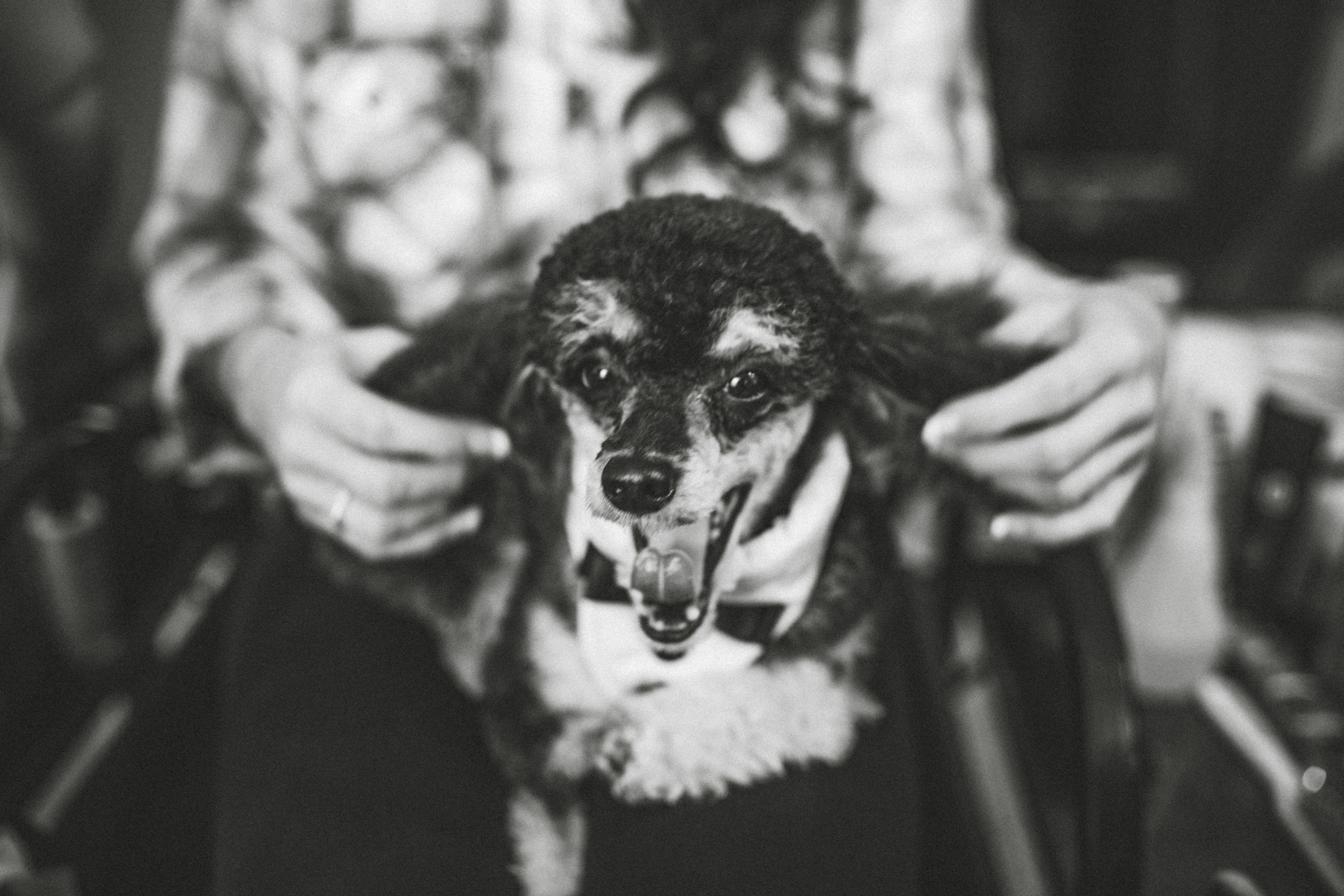 WesleyChapelFlorida-wedding-MelissaandScott-1-19.jpg
