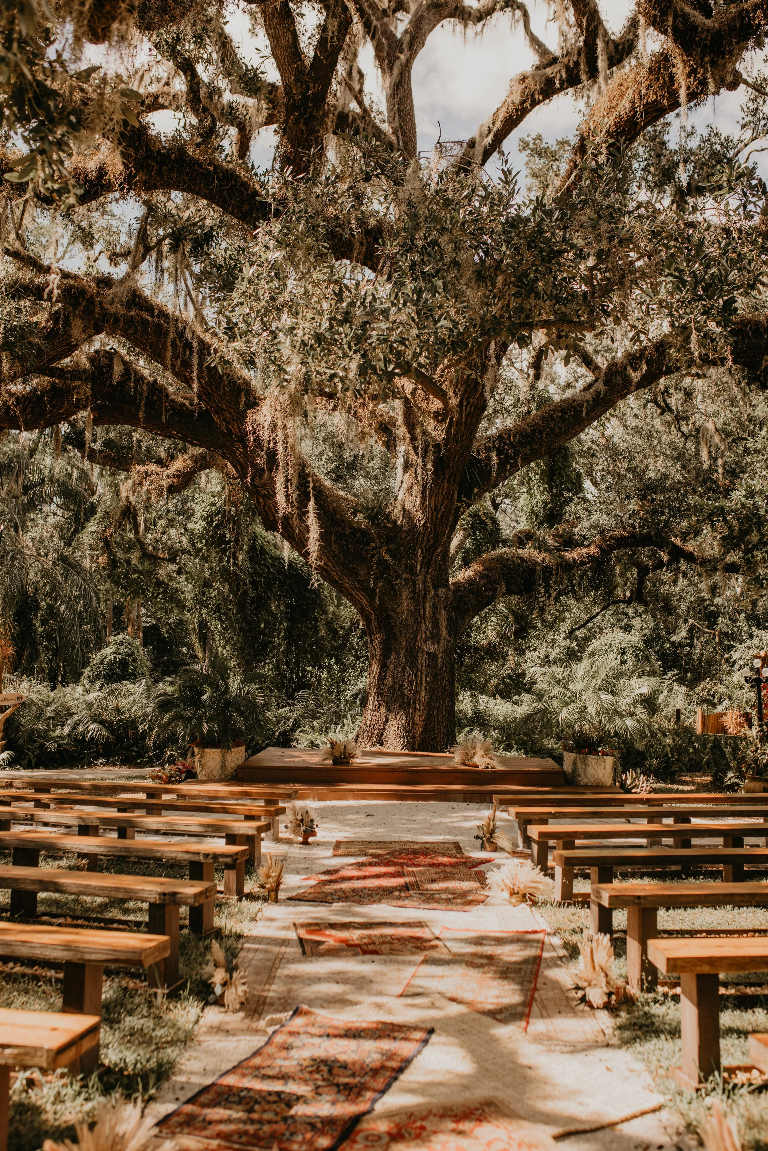 Del Favero Tampa Florida-Wedding-Ashley and Chris308.jpg