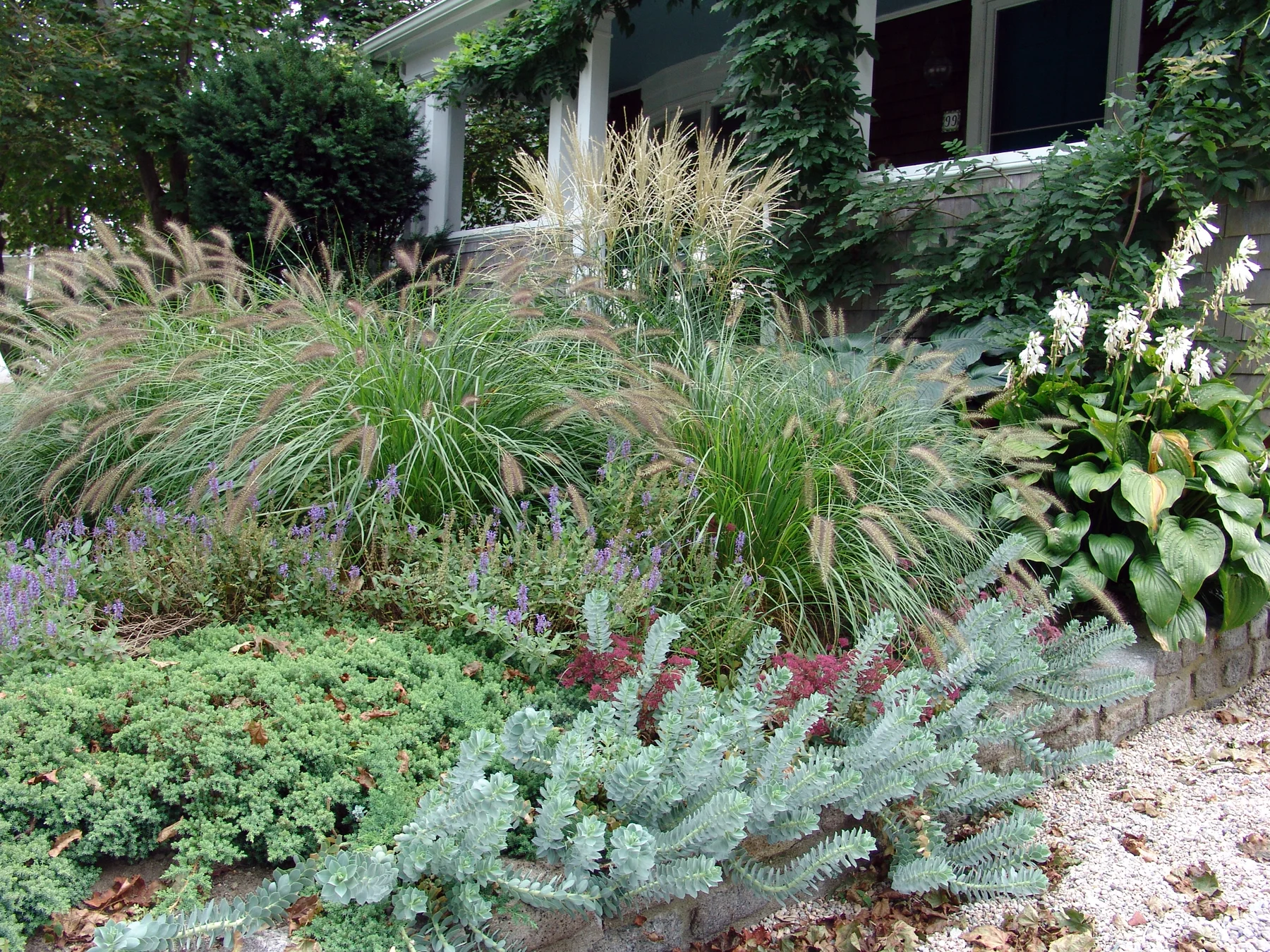 RC-Garden-0318.jpg