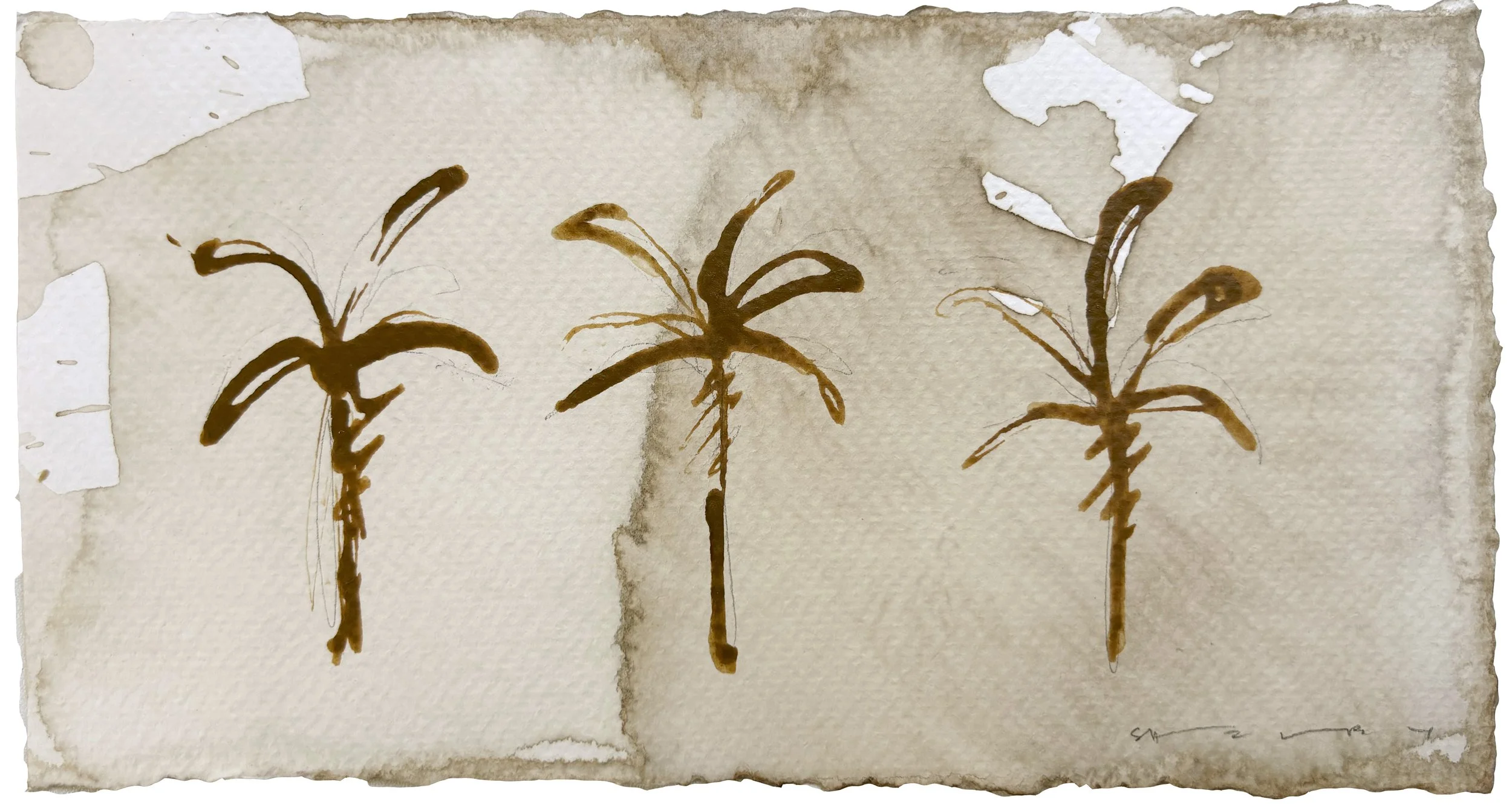 PalmsOnCoffeeIV, 4 1:2 x 8 1:4 Ink on Coffee Stained Paper, $300.jpg
