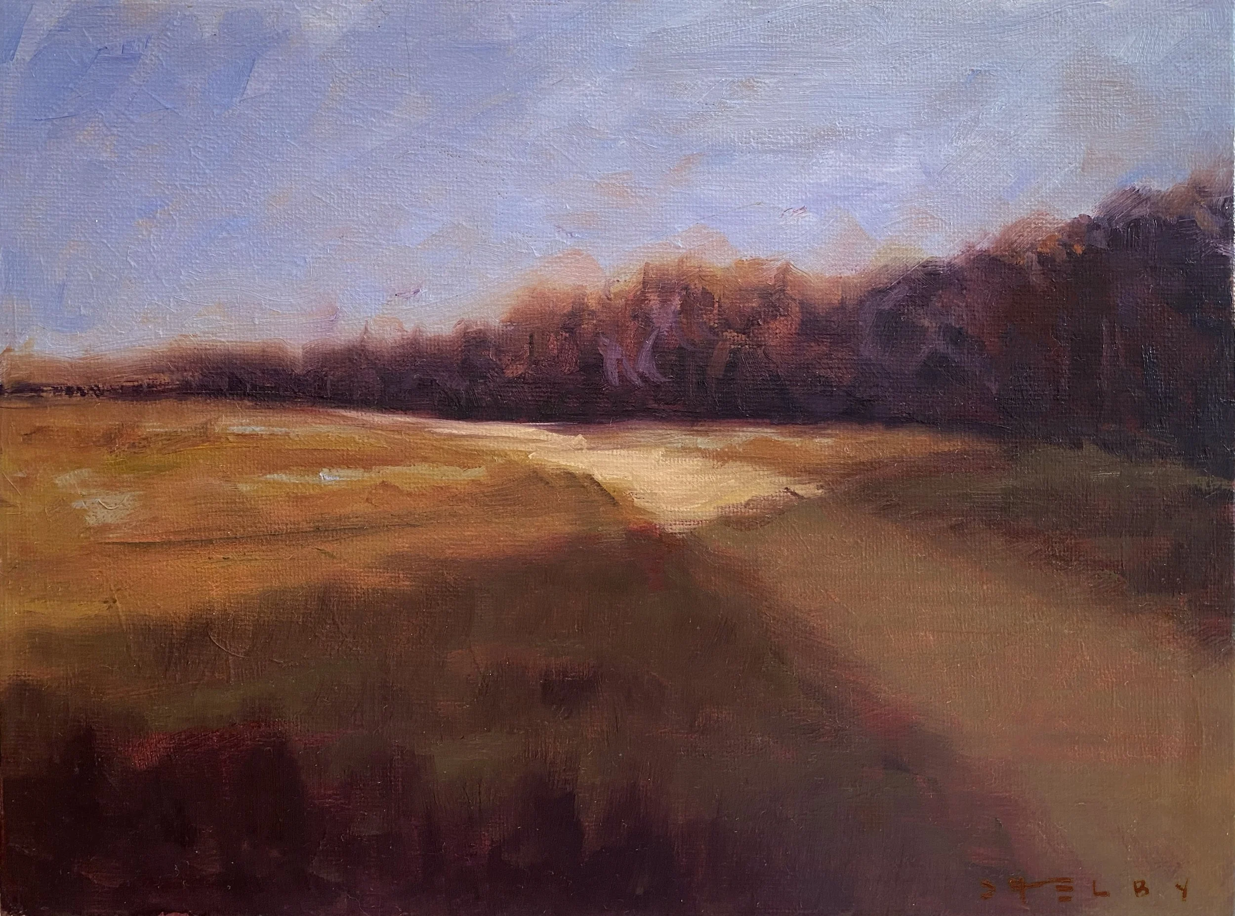 "Shadow Covered" - 12"w x 9"h