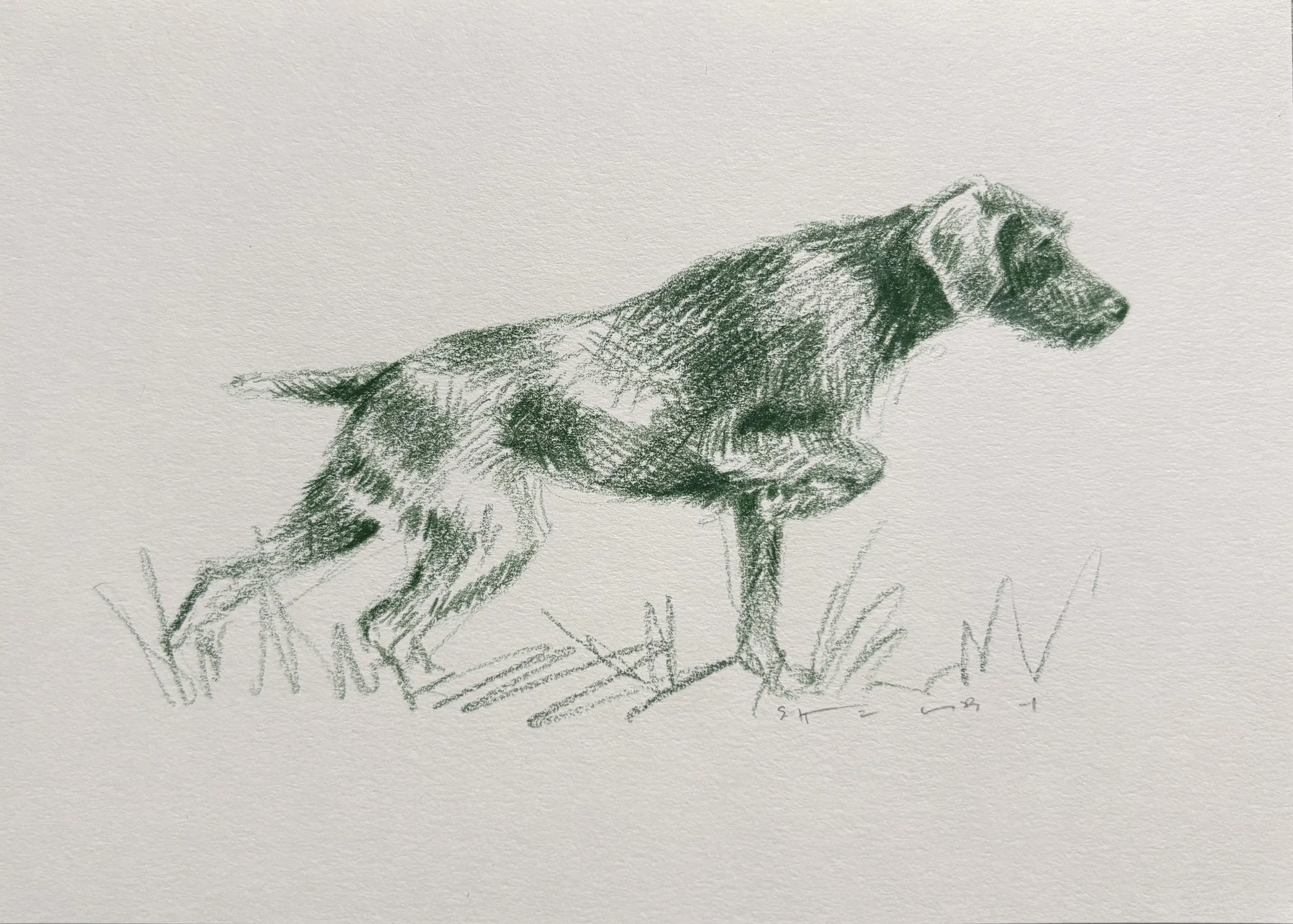 Green GSP Study, 2024