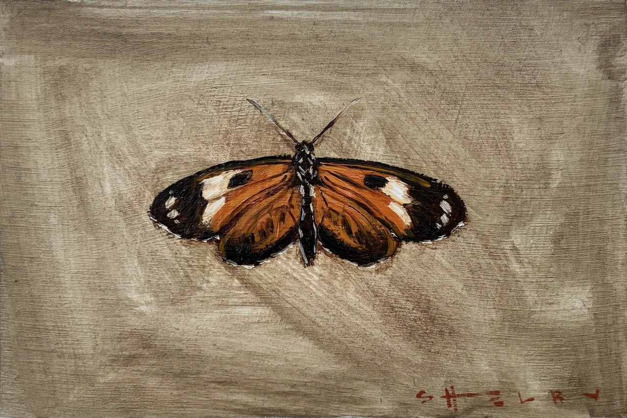 "Tiger Longwing Butterfly" - 6"w x 4"h