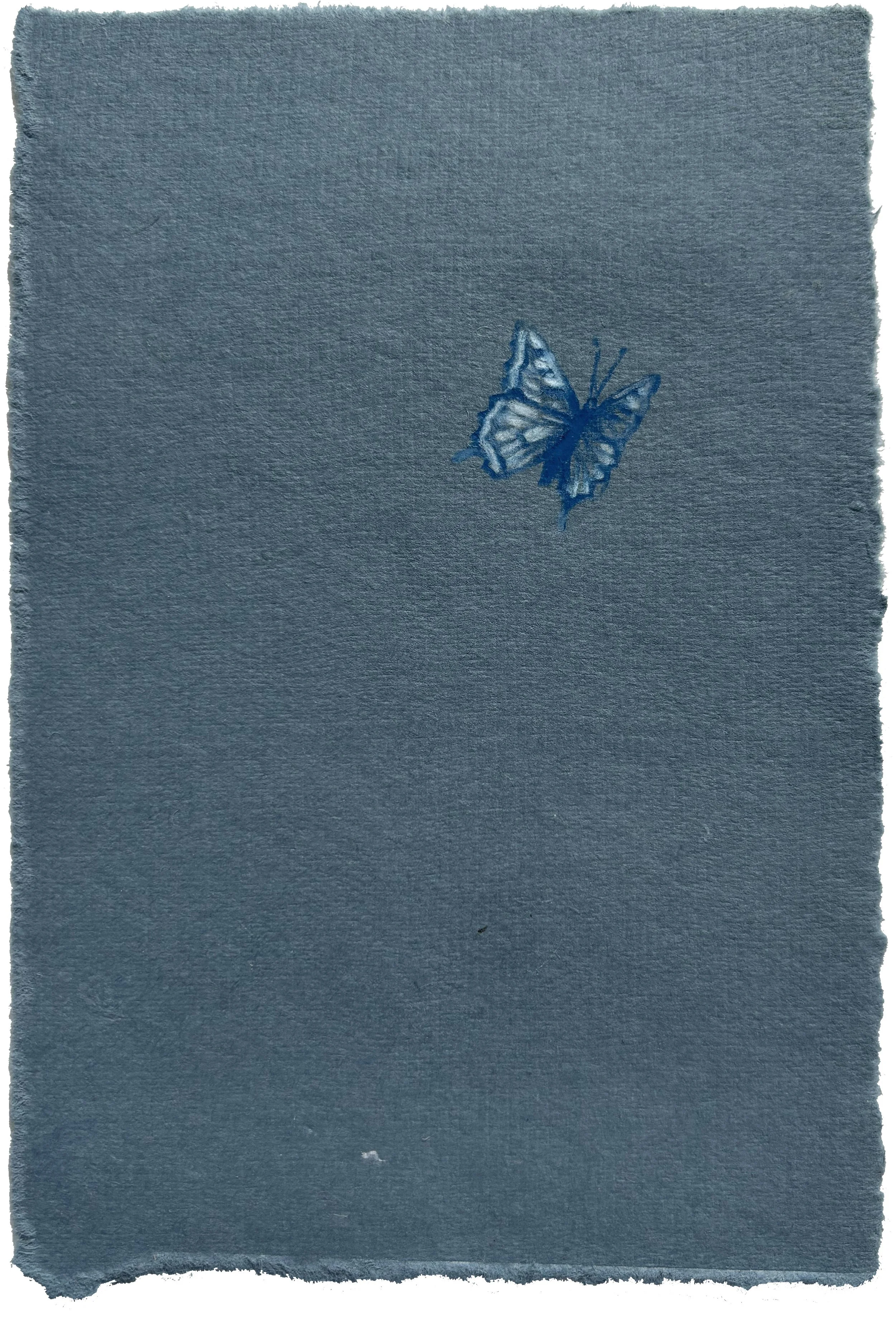 Butterfly Study I, 2025