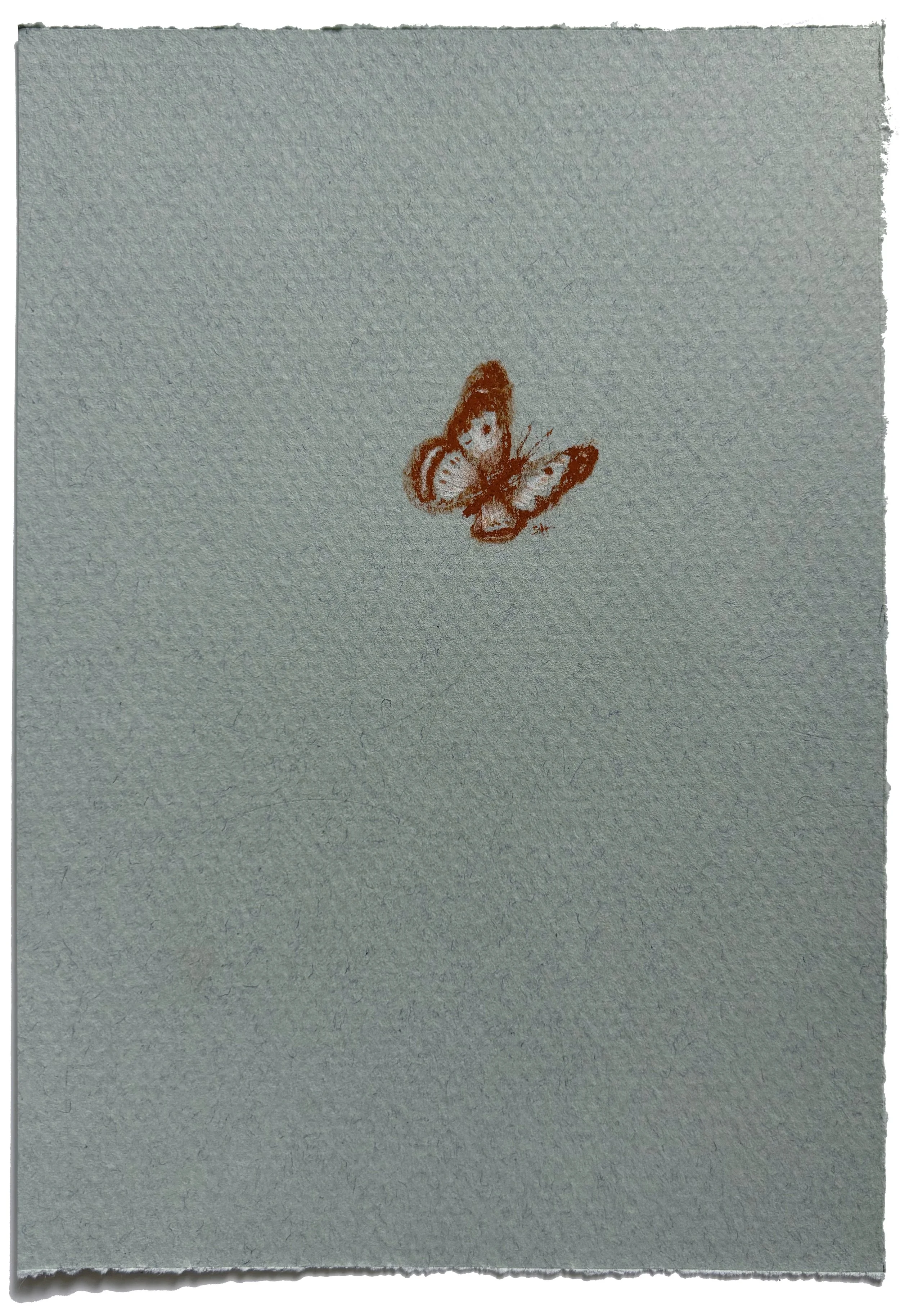 Butterfly Study IV, 2025