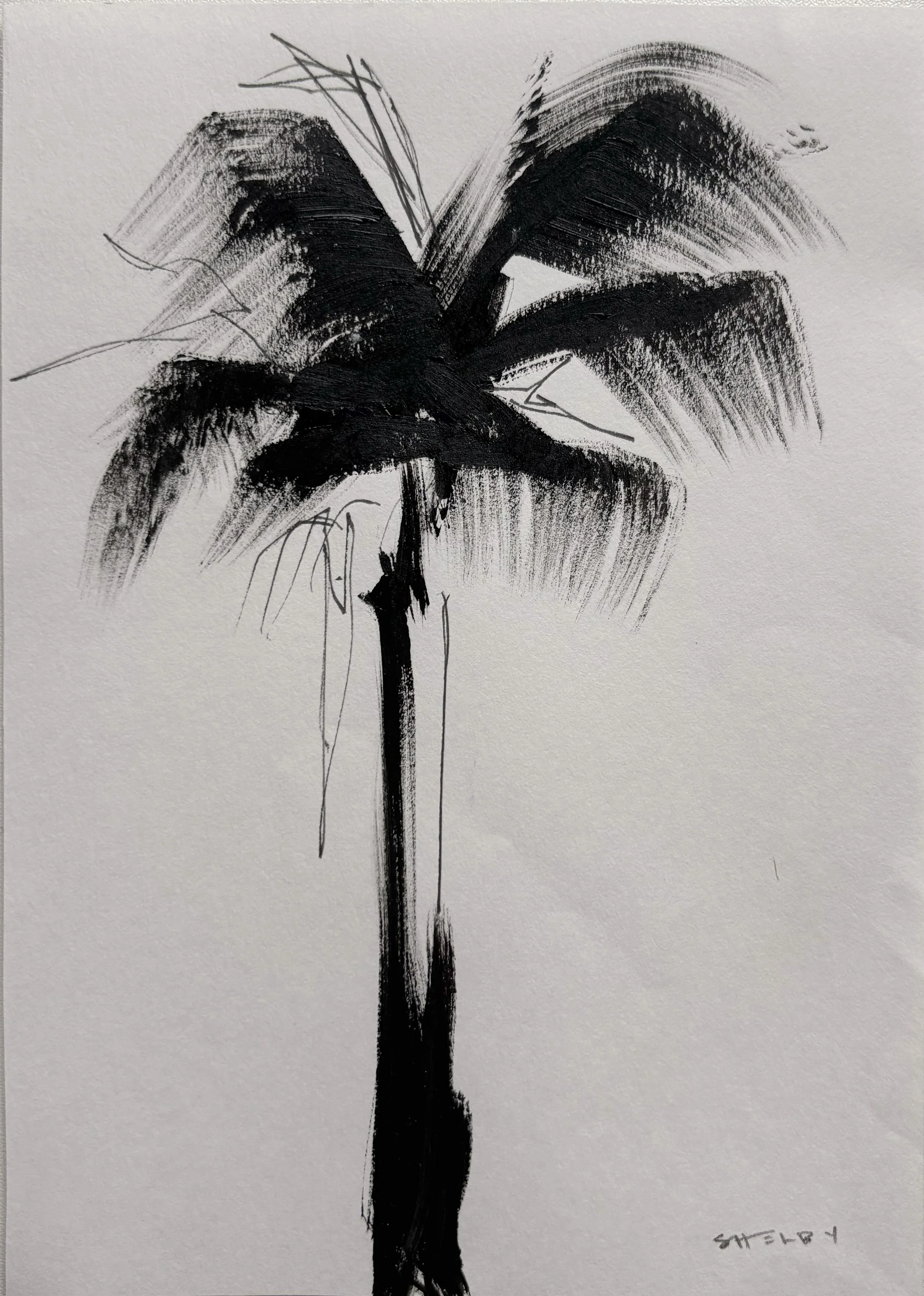 Ink Palm, 2023
