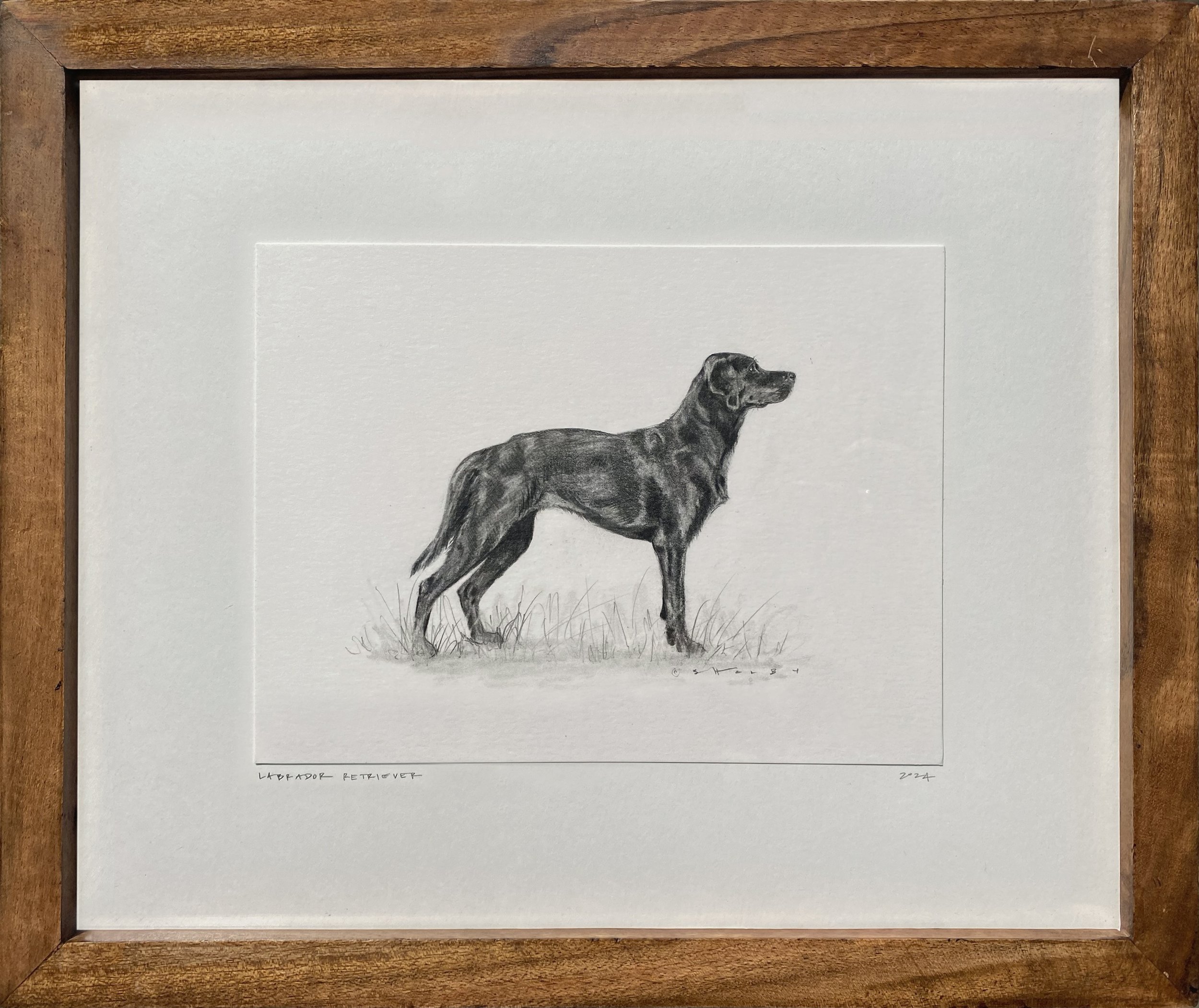 Lab_Framed.jpg