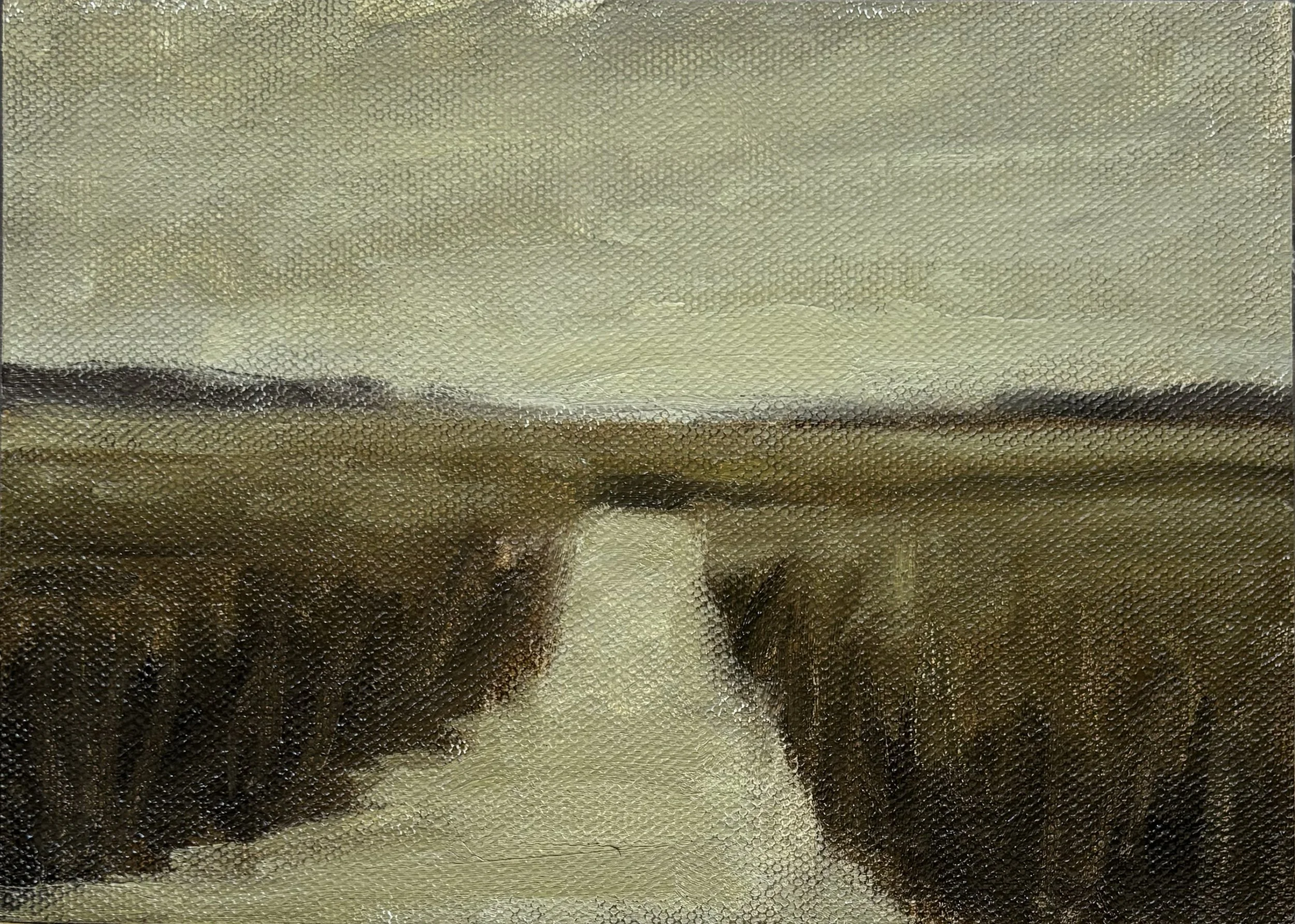 Olive Marsh Study, 2024