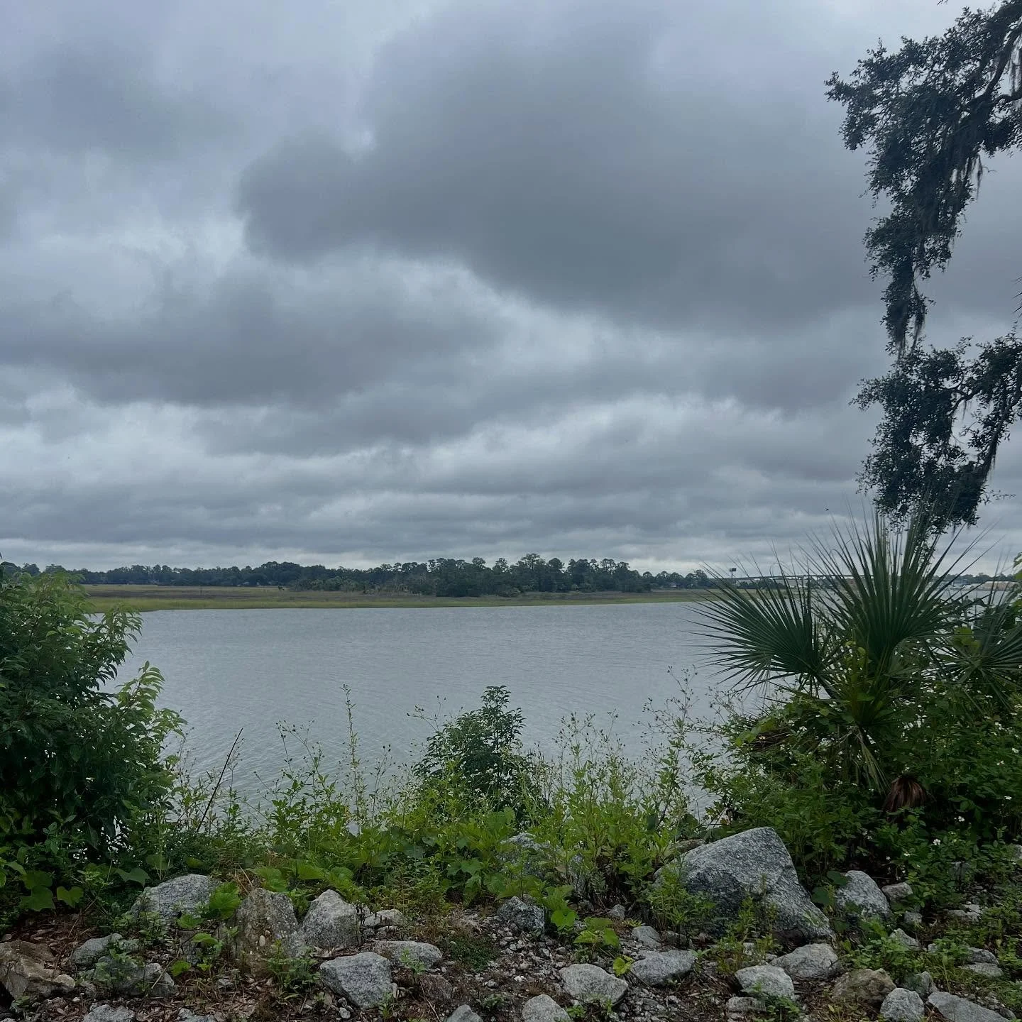 Part 2 of a human of Savannah who works in the wedding industry:

&ldquo;It&rsquo;s usually a mother - that has an issue. The mother of the bride mostly.

You hear about it bridezillas, I&rsquo;ve had some. One was on her knees crying outside the ven