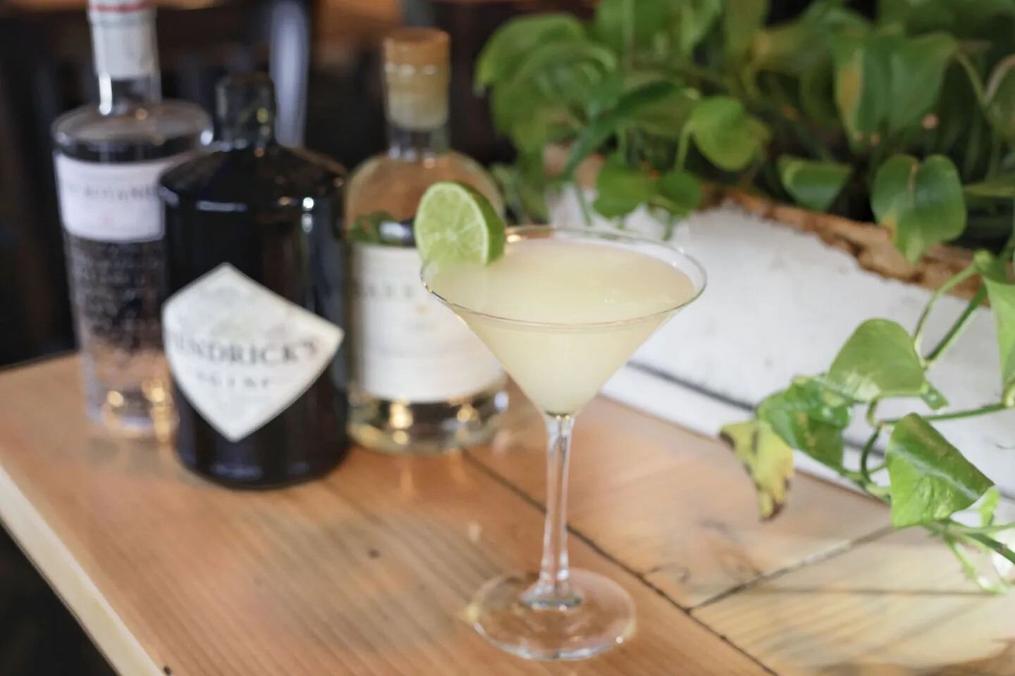 Excuse the Gin-terruption! Come in and try our Gin Gimlet today.
&bull;Fresh squeezed lime juice
&bull;Your choice of Gin
&bull;
#gimlet #drinkoftheday #gin #ginlover #hendricks #botanistgin #aviationgin #localpub #drinksofinstagram #drinklocal #loca