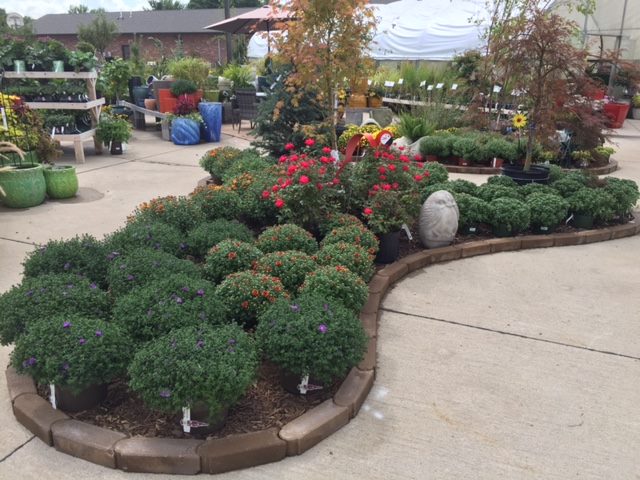garden center.jpg