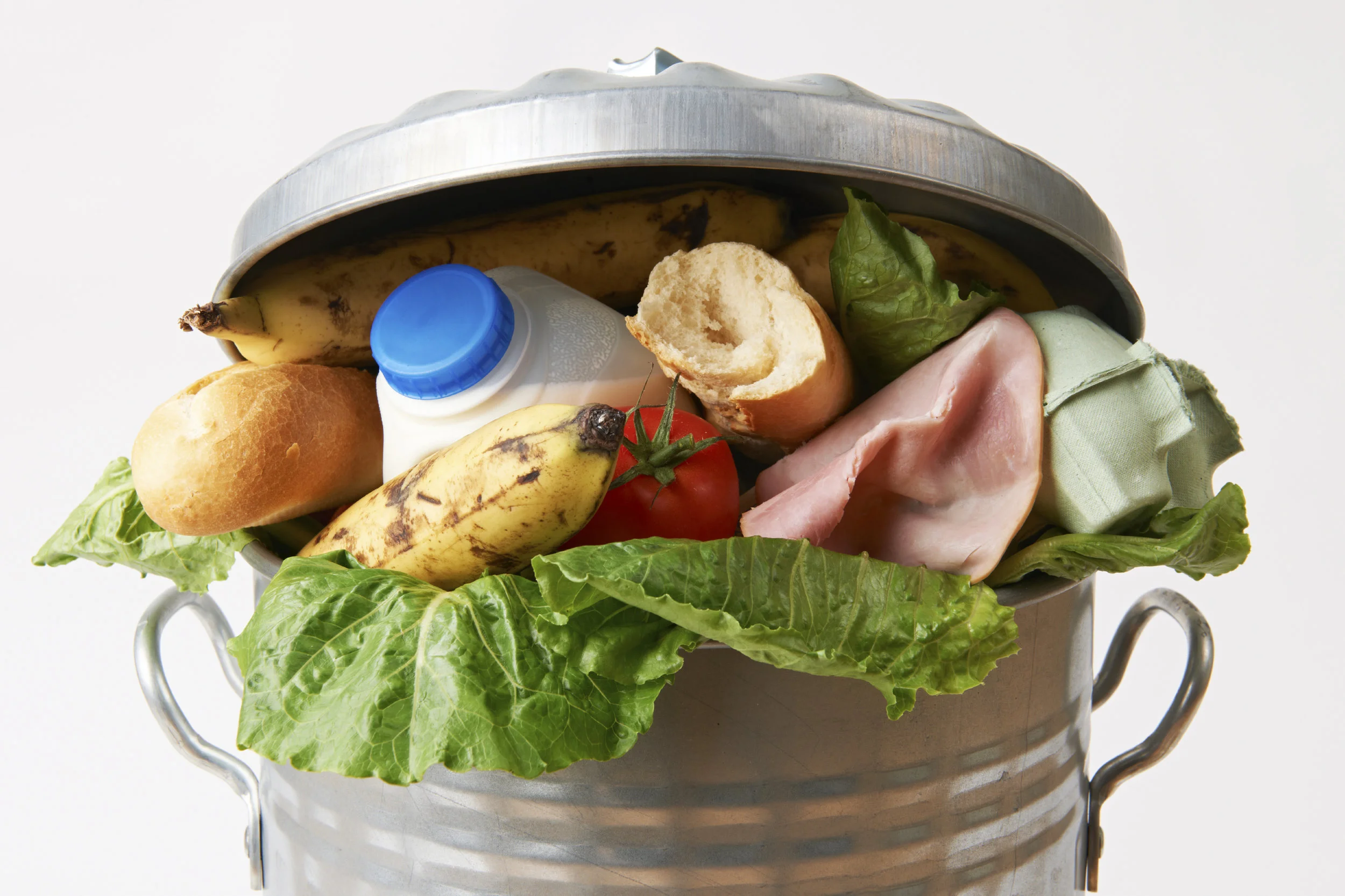 Feed People, Not Landfills