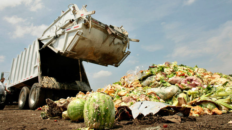 Food Waste in America