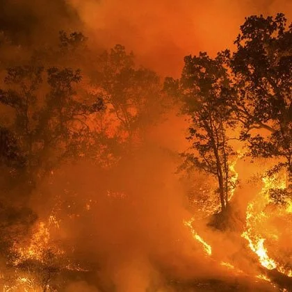 How the West Was Burnt