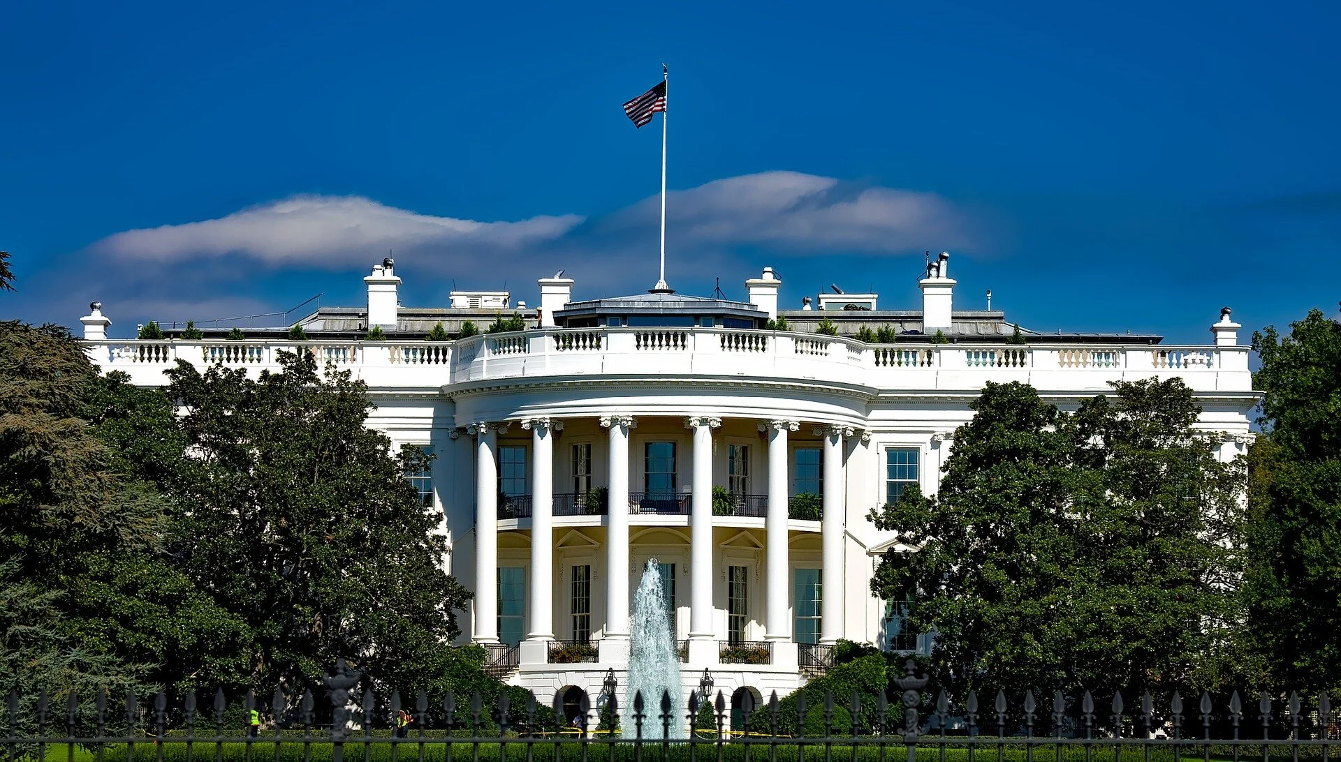 Democracy Survives…This Time