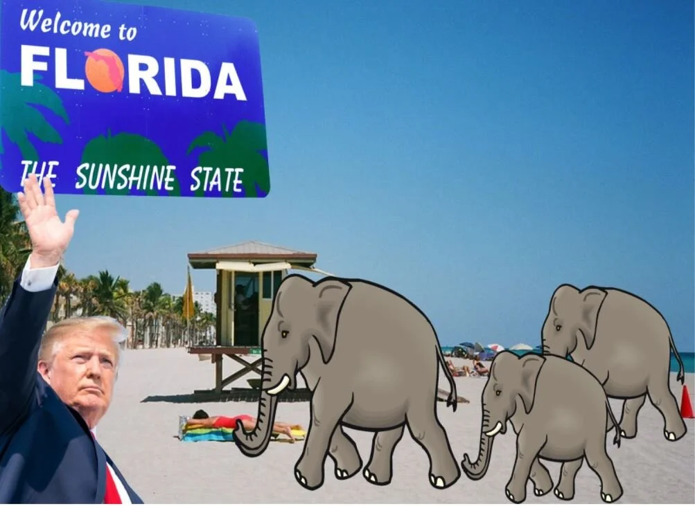 Florida: The Republican Party’s Newest Stronghold
