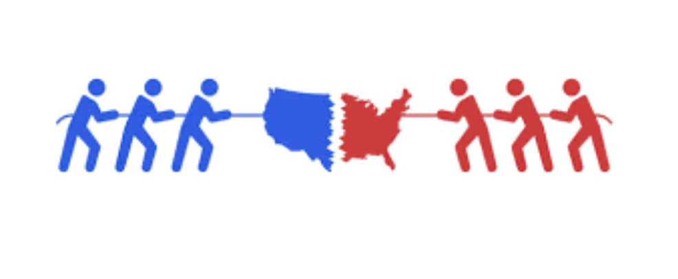Polarization in the United States: An Interview with Professor Rachel Wahl
