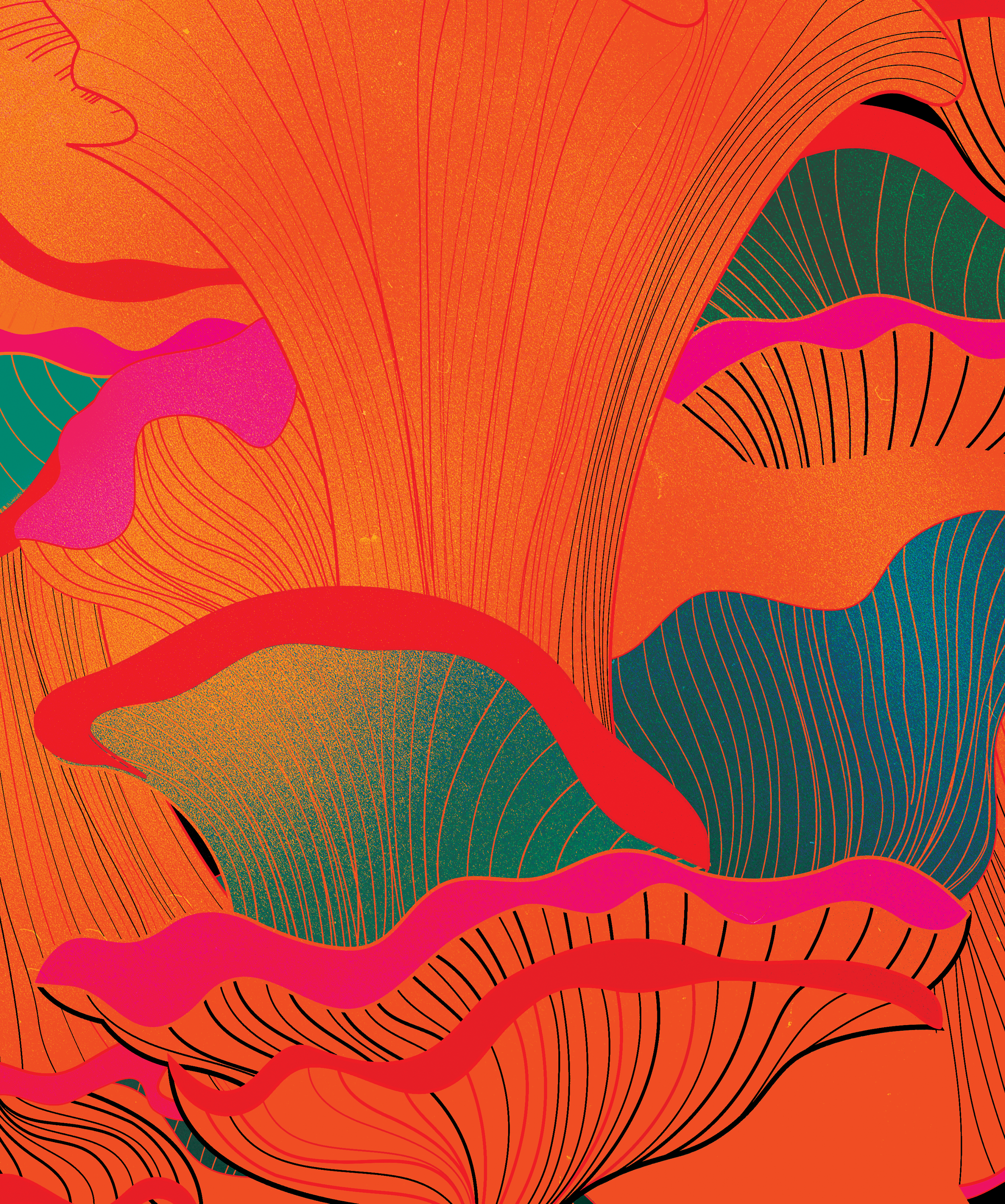 WALLACE-RadicalUnlearning-bg_large.png