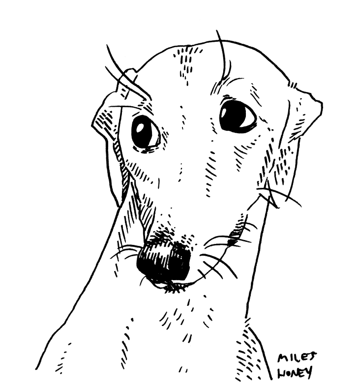 6.png