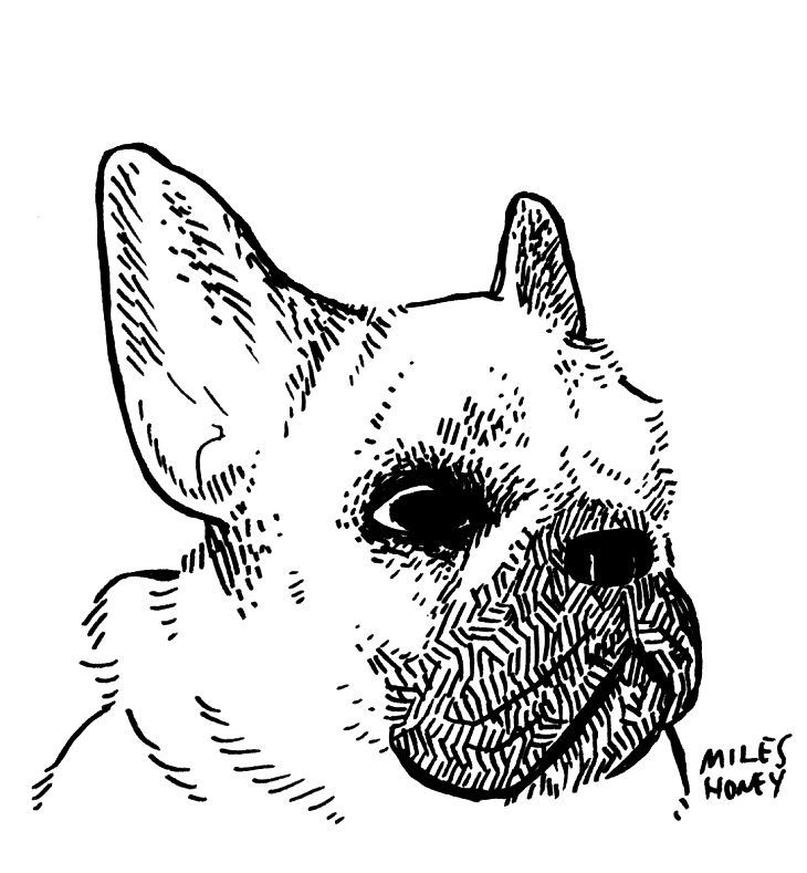 11.png