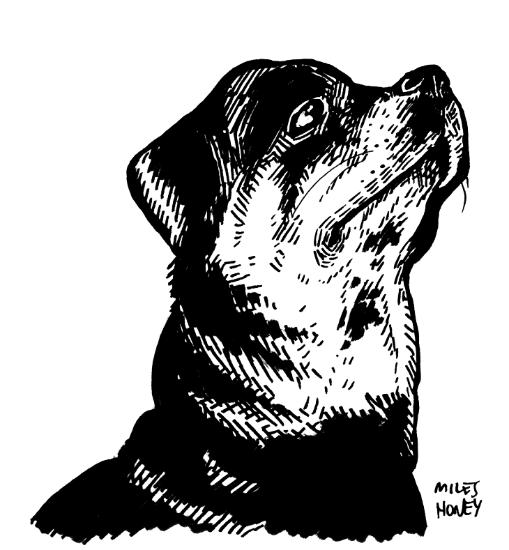 12.png