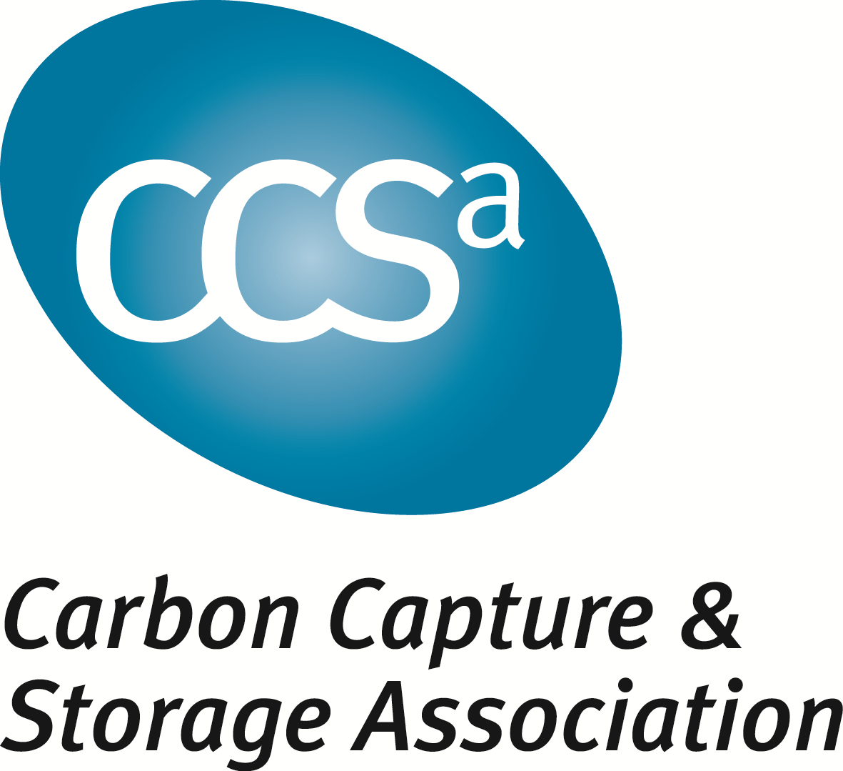 CCSA.png