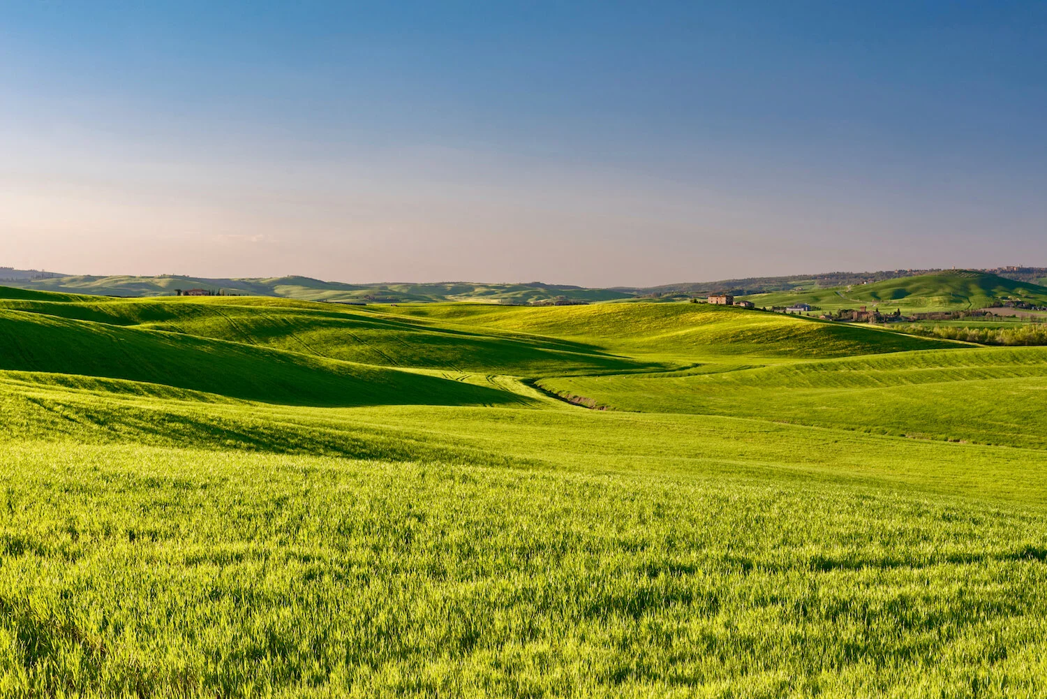Field Shutterstock.jpg