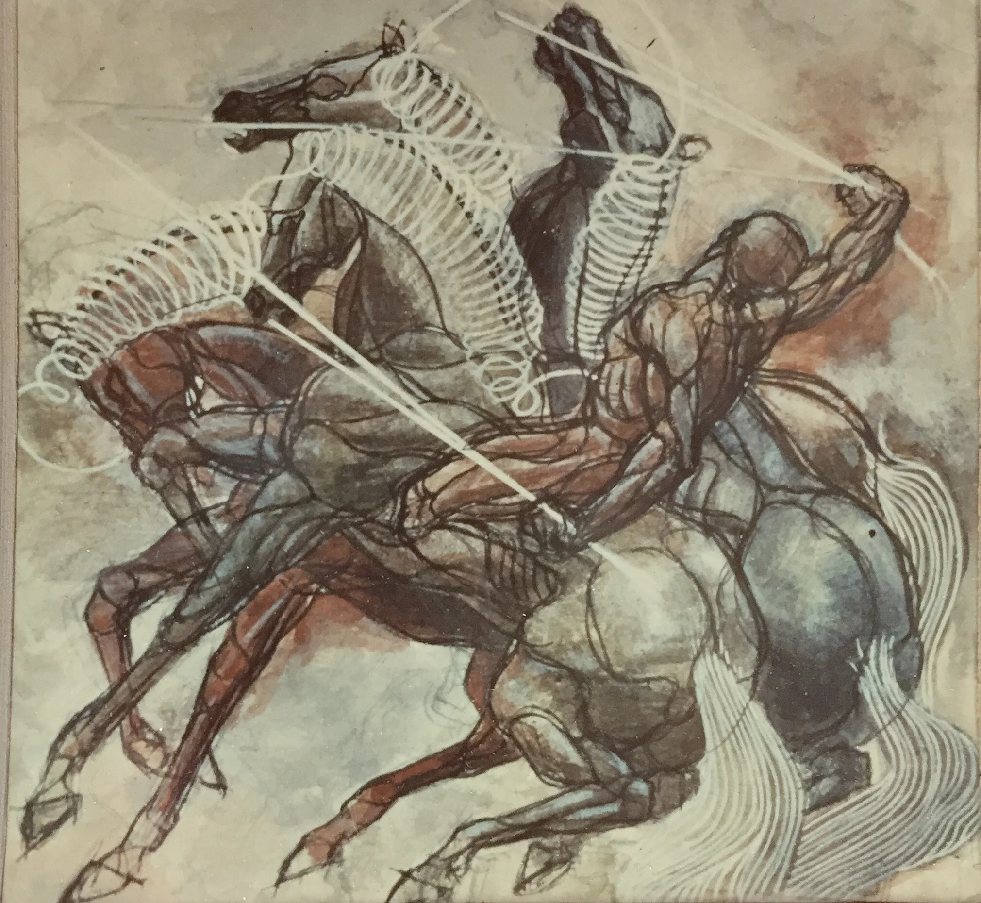 AM - Horse and Man Color.jpeg