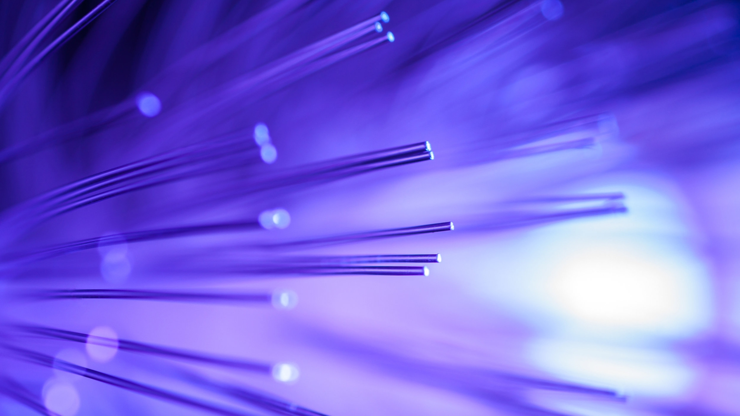 AdobeStock_47240717.jpeg