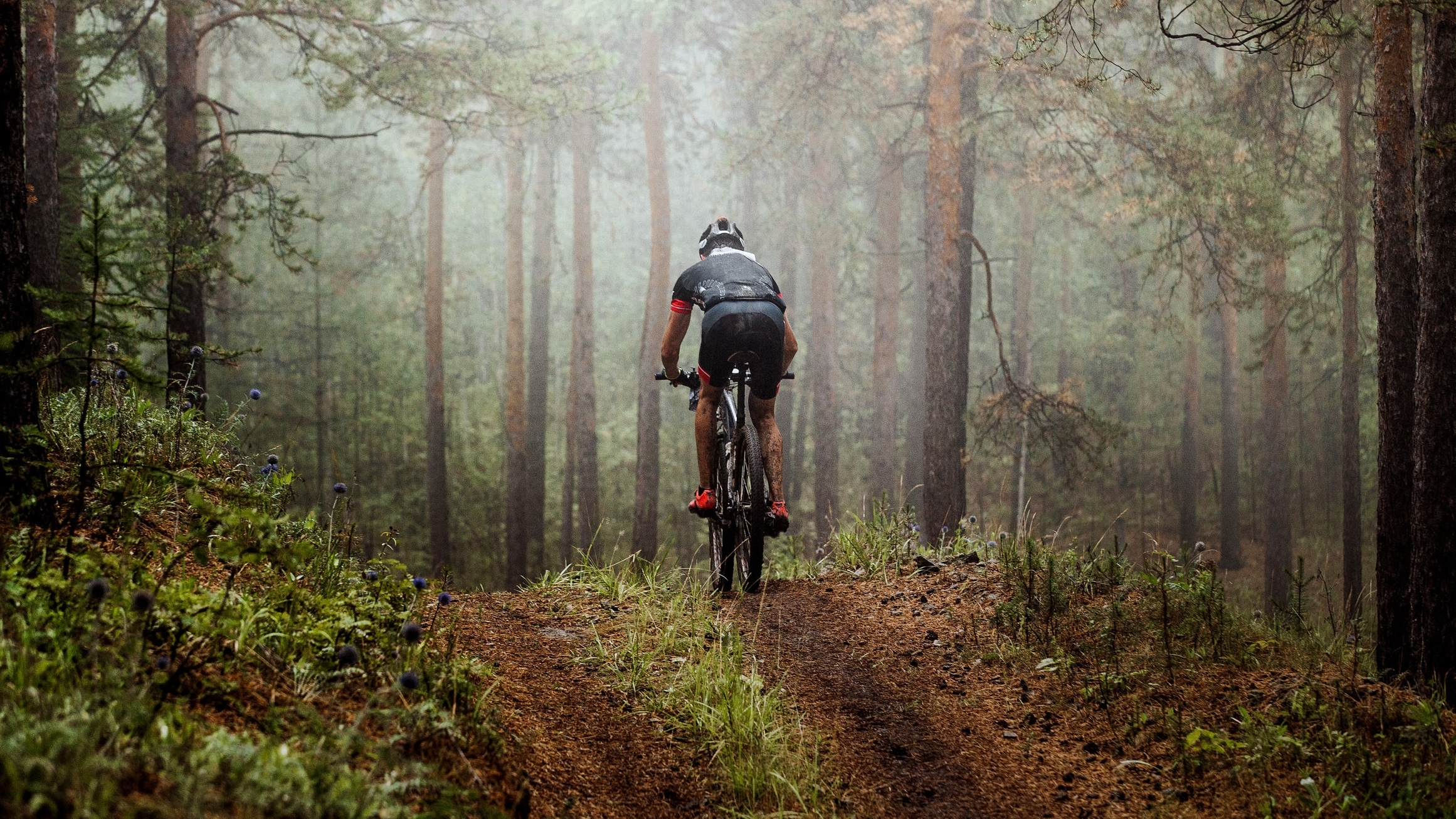 AdobeStock_117998340 (1).jpeg