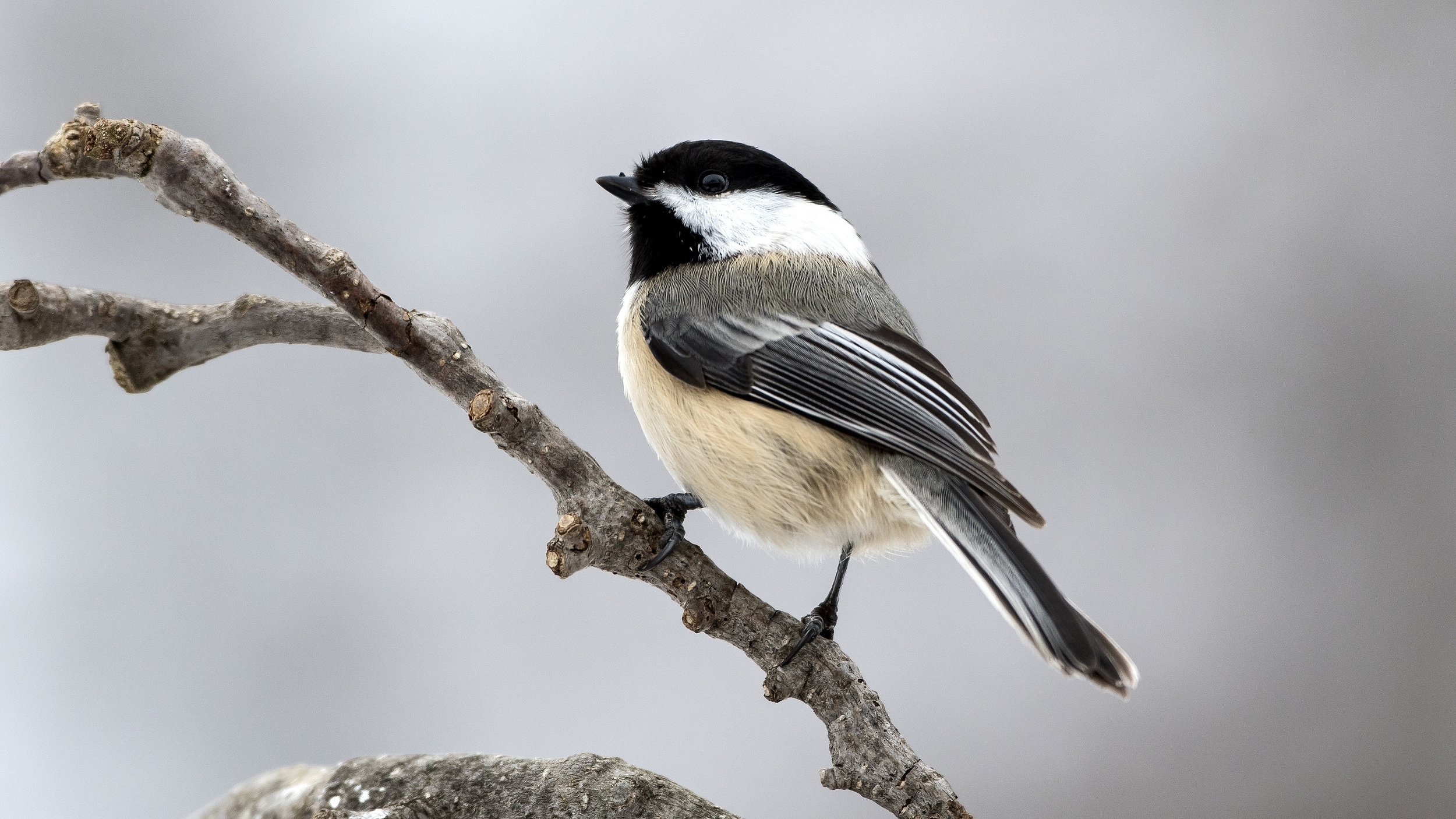 AdobeStock_187913381.jpeg