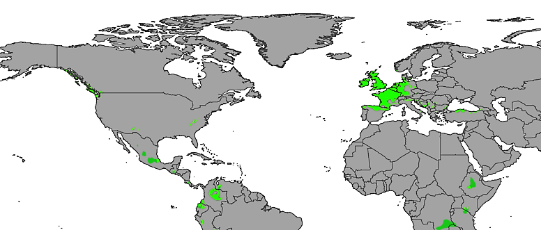 maritime close up.png
