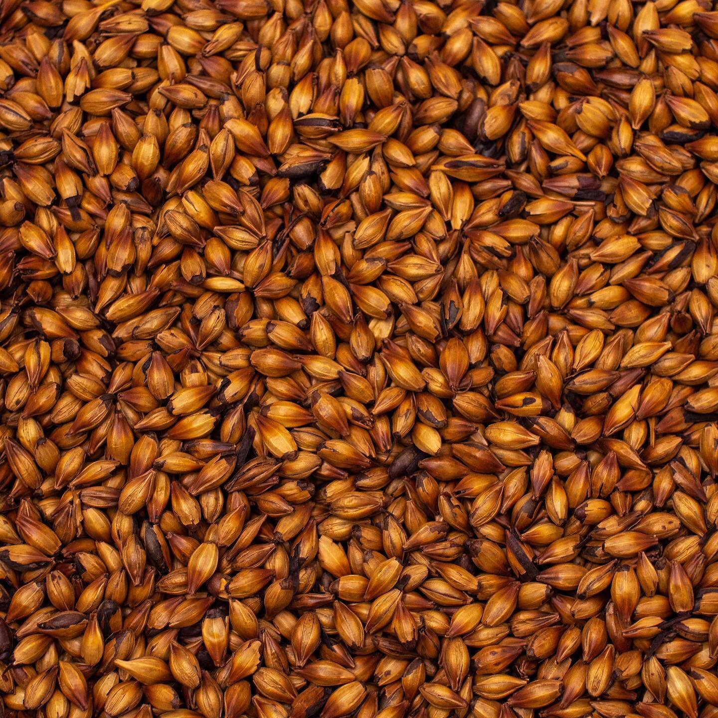 Are you looking for a more complex version of Pale Chocolate Malt? Give our Molasses Malt a try! Sold in 25lb bags, this malt offers flavors of deep caramel, molasses, and chocolate.