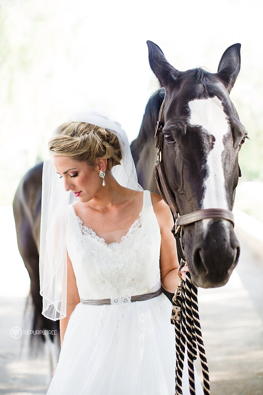 Frady_Wedding_cloriyohe_thepurpletree.com_4044.jpg