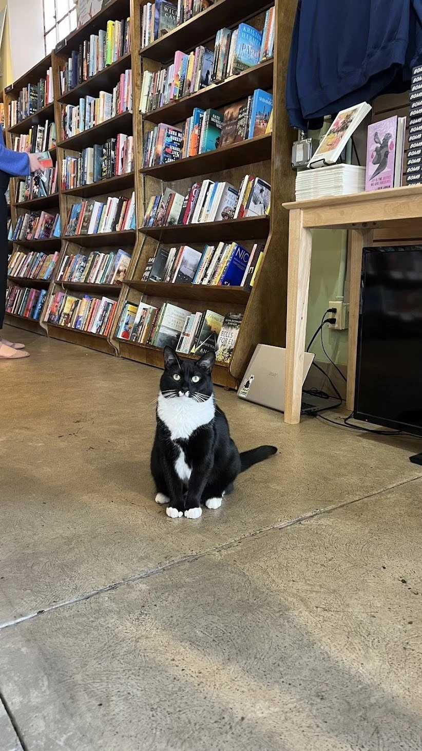 Hub City Bookshop - in conversation with Michel Stone