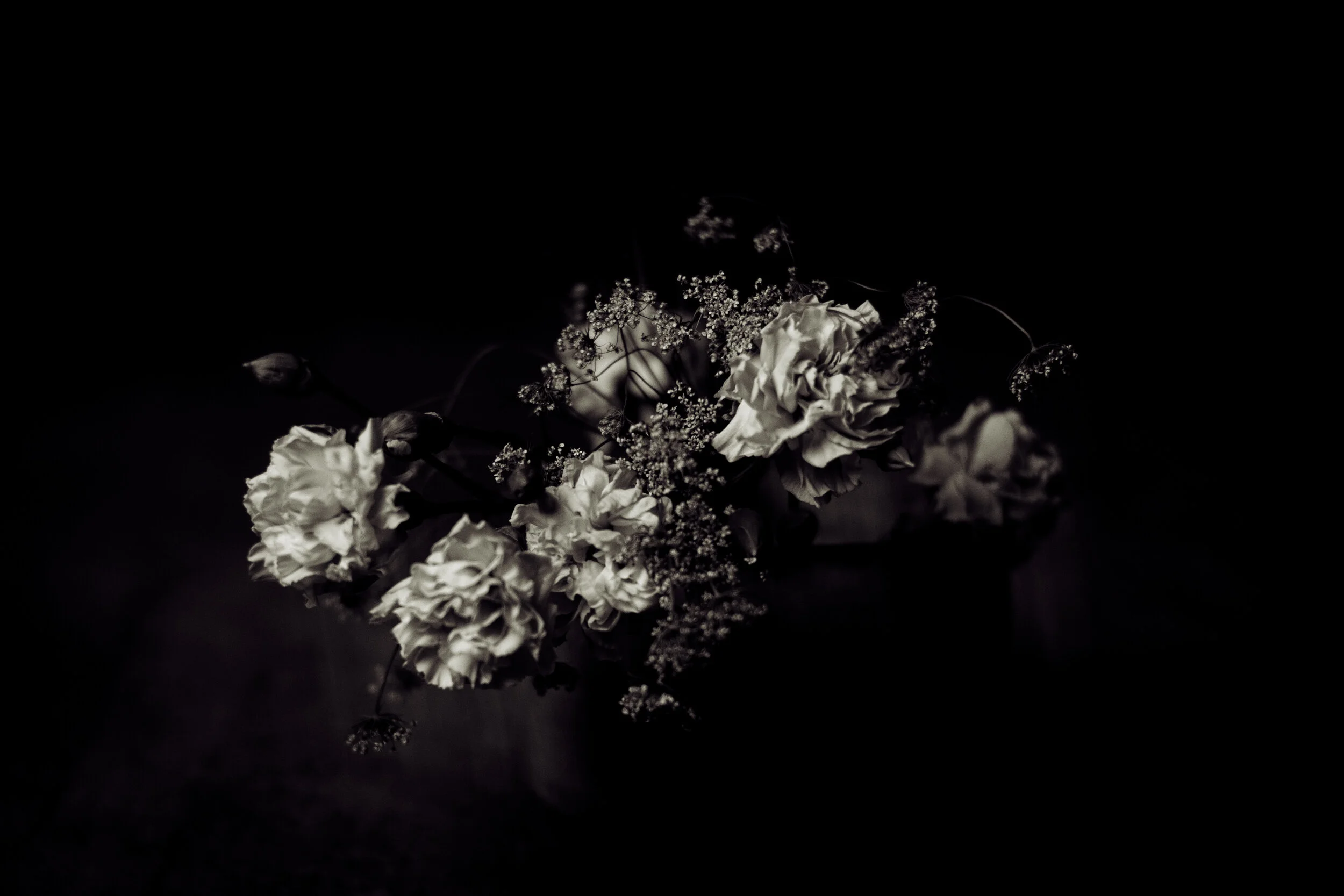 L1008605_toned.jpg