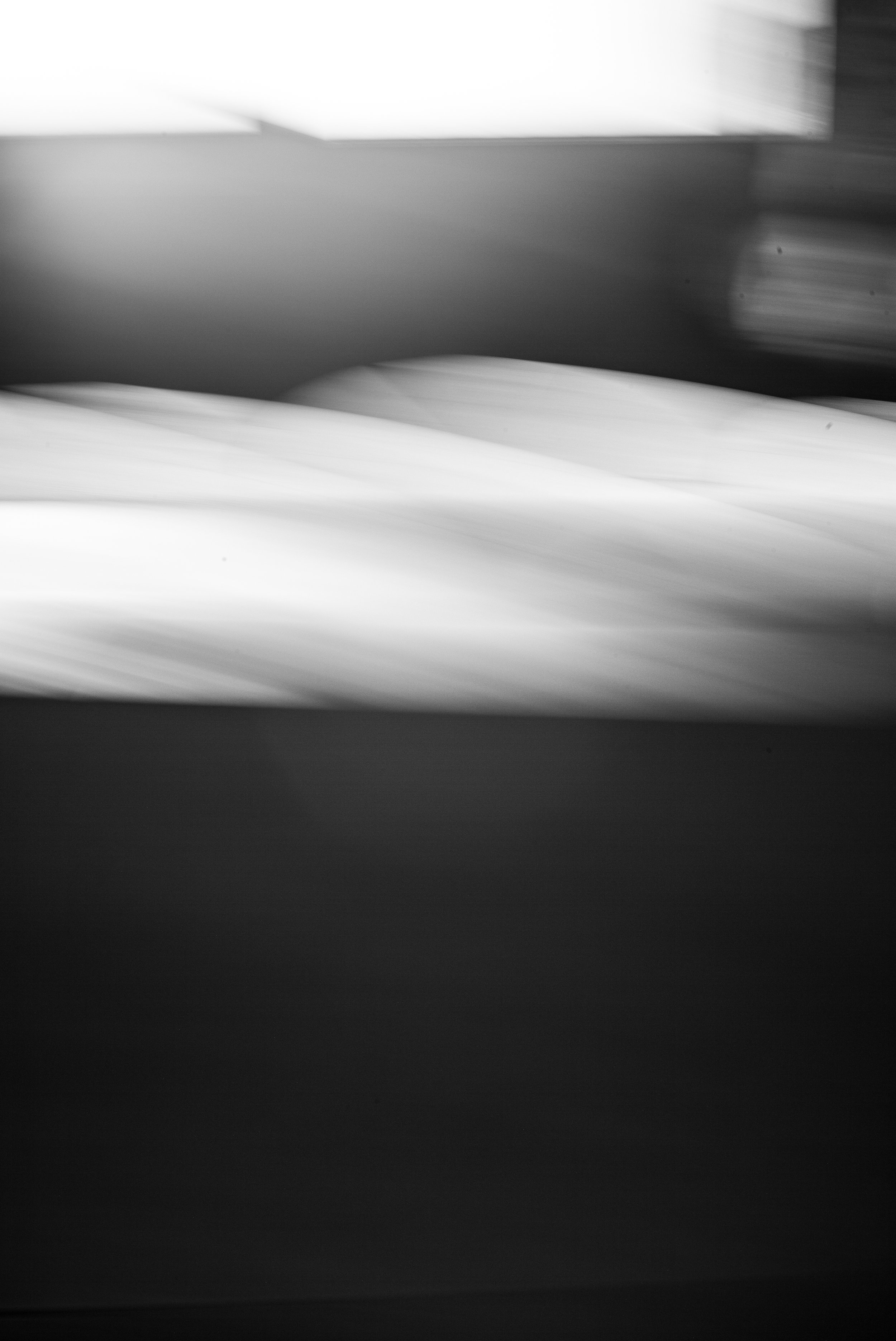 L1005795.jpg