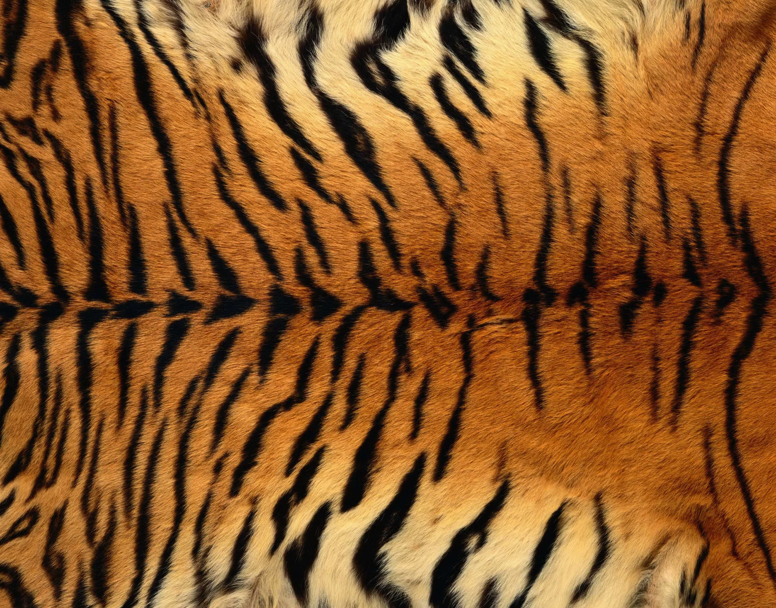 Animal-Fur-Skin-Background-6.jpg