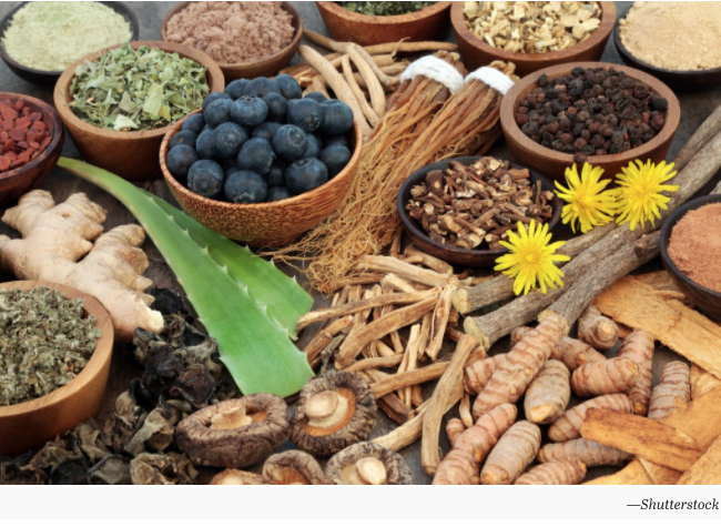 CCIH's  Health and Wellness Coach, Hannah Kahn, Interviewed by Baltimore Magazine: Everything You Need to Know About the Adaptogen Trend