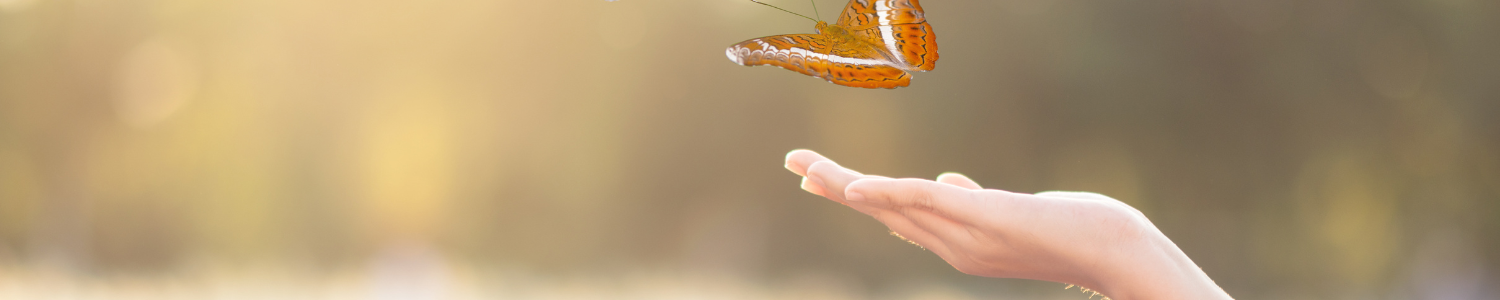 Harvesting Health: The Meaning of Traditional East Asian Medicine in ...