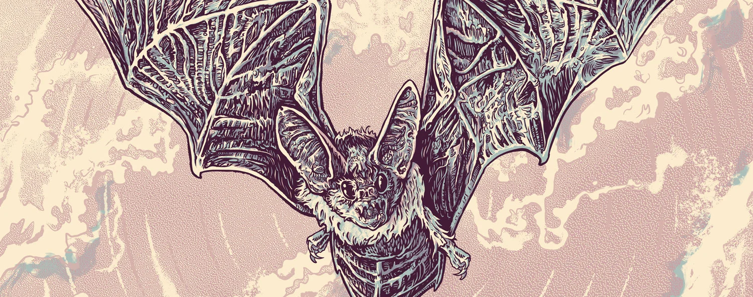 header_bat.jpg